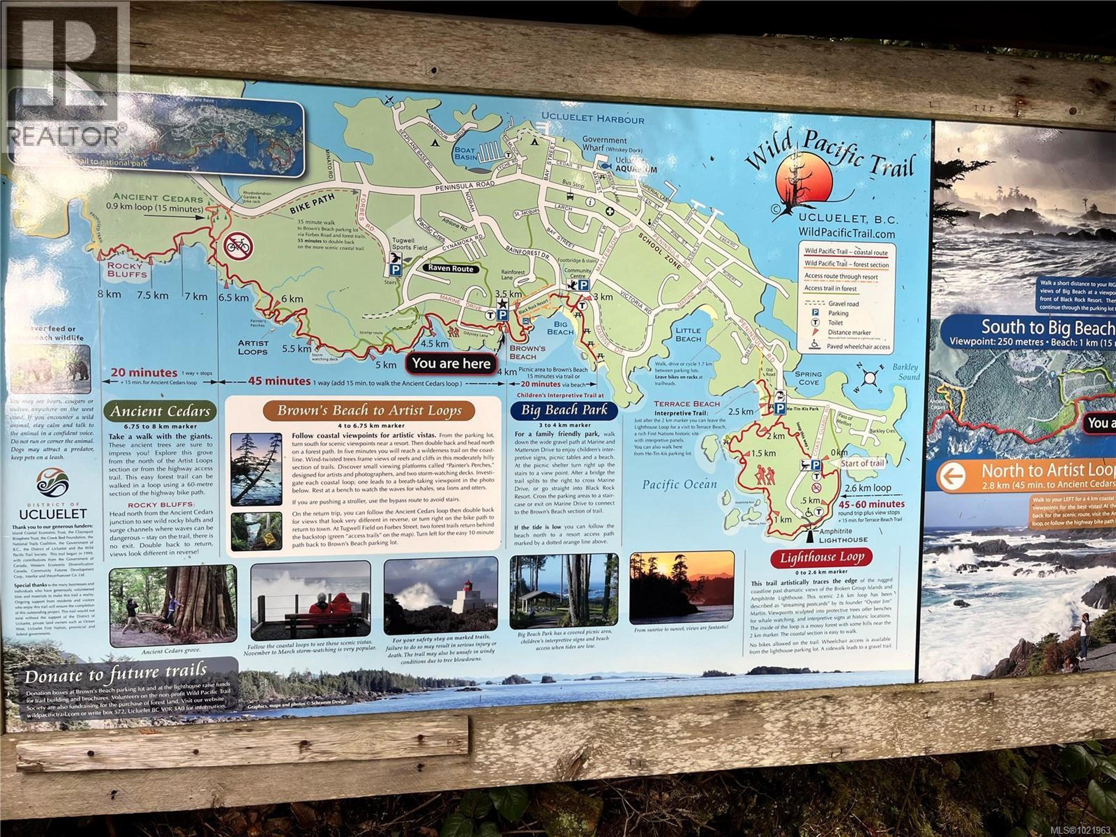 #1202 596 MARINE DR - 41