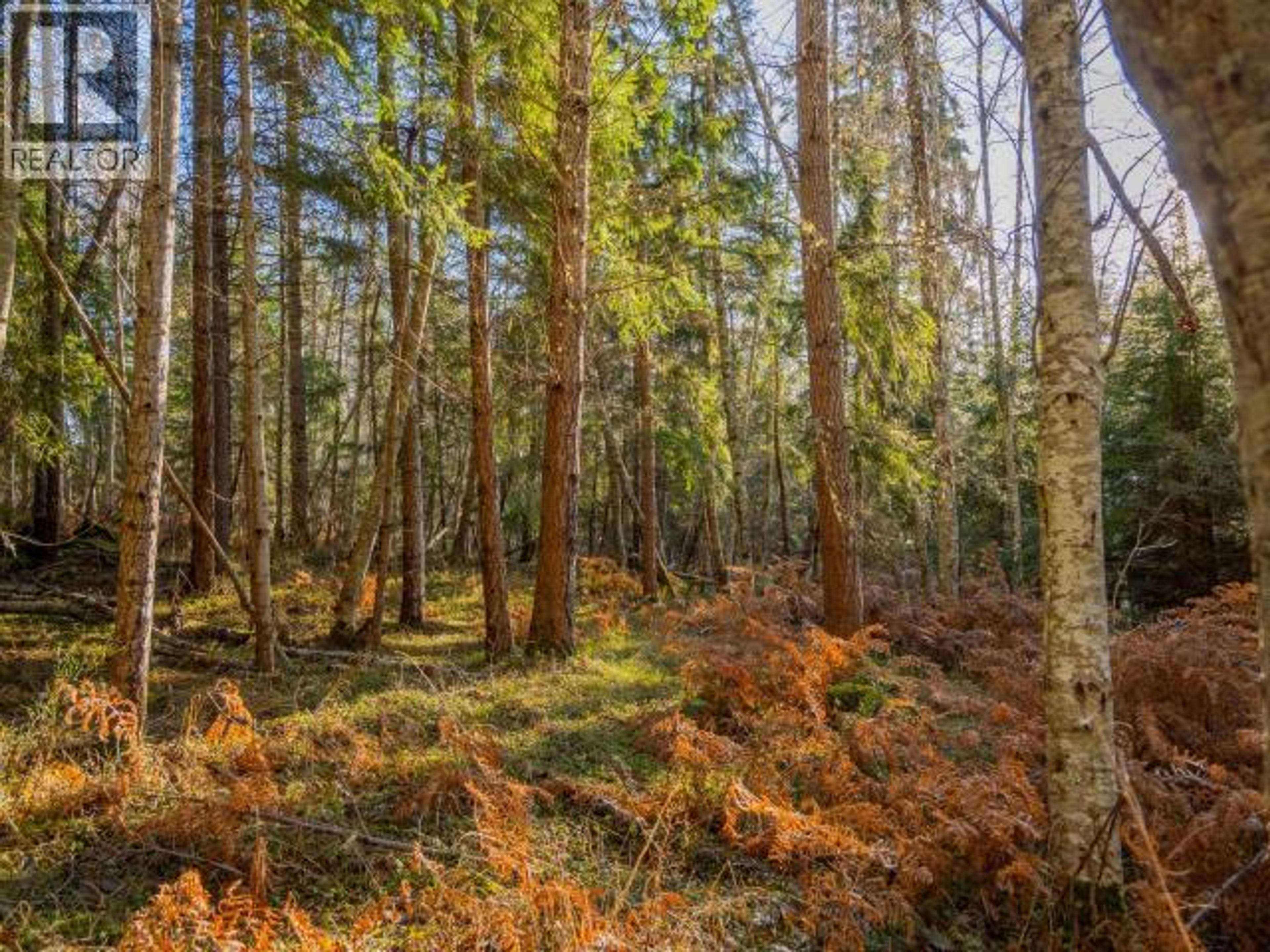 6080 SHELTER POINT ROAD - 32