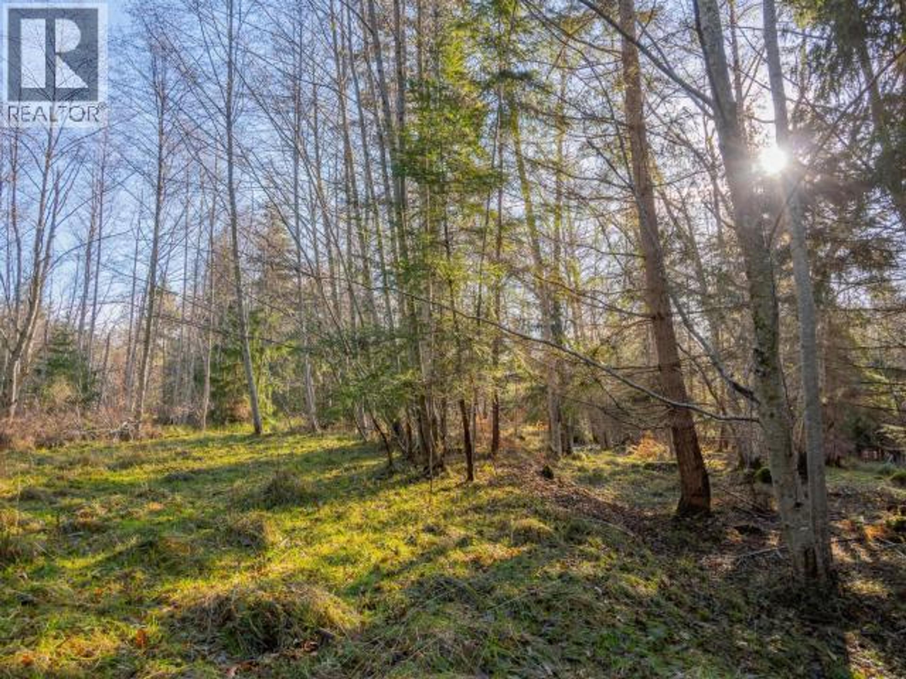 6080 SHELTER POINT ROAD - 40