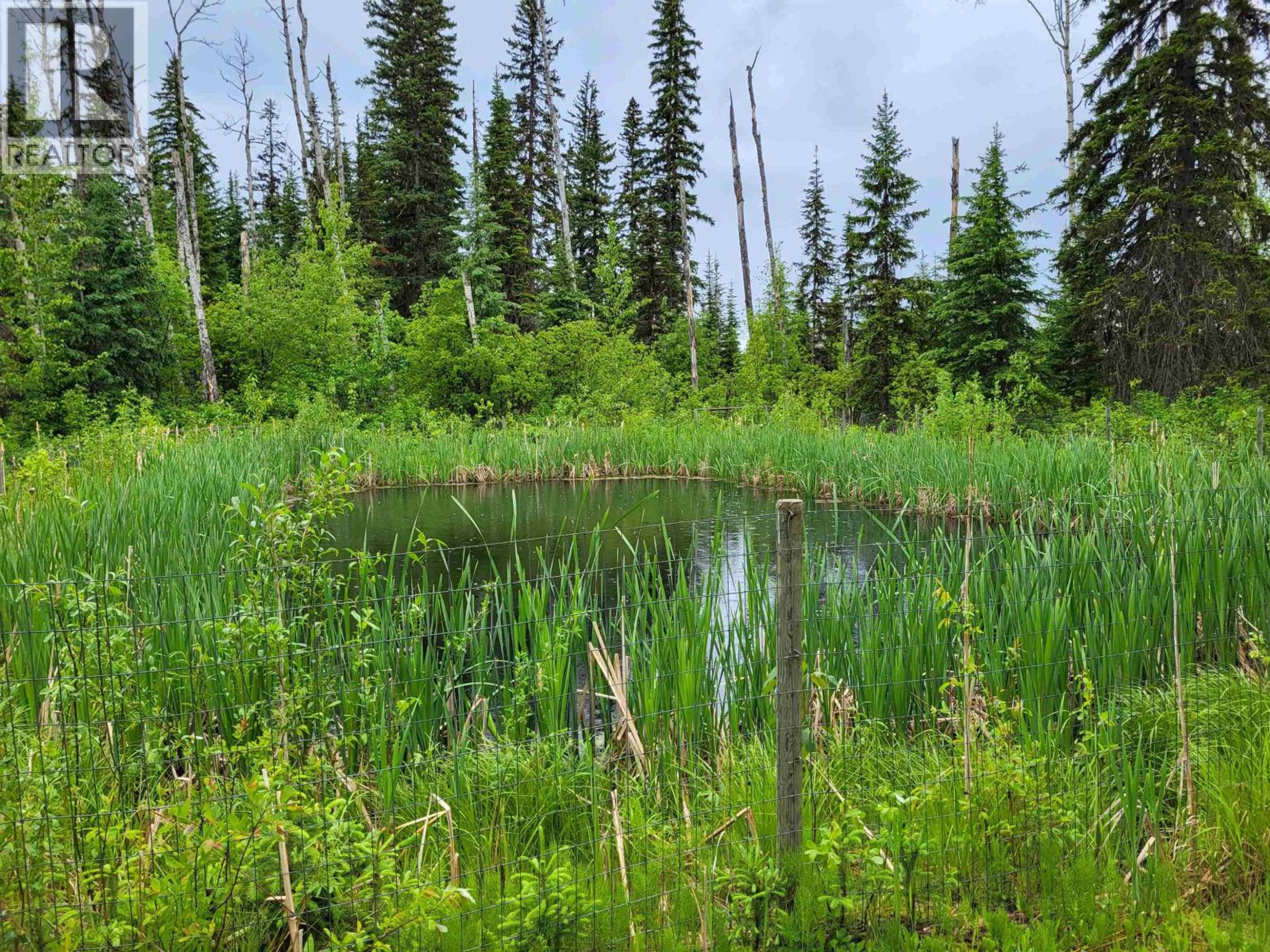 17530 E PERRY ROAD - 9