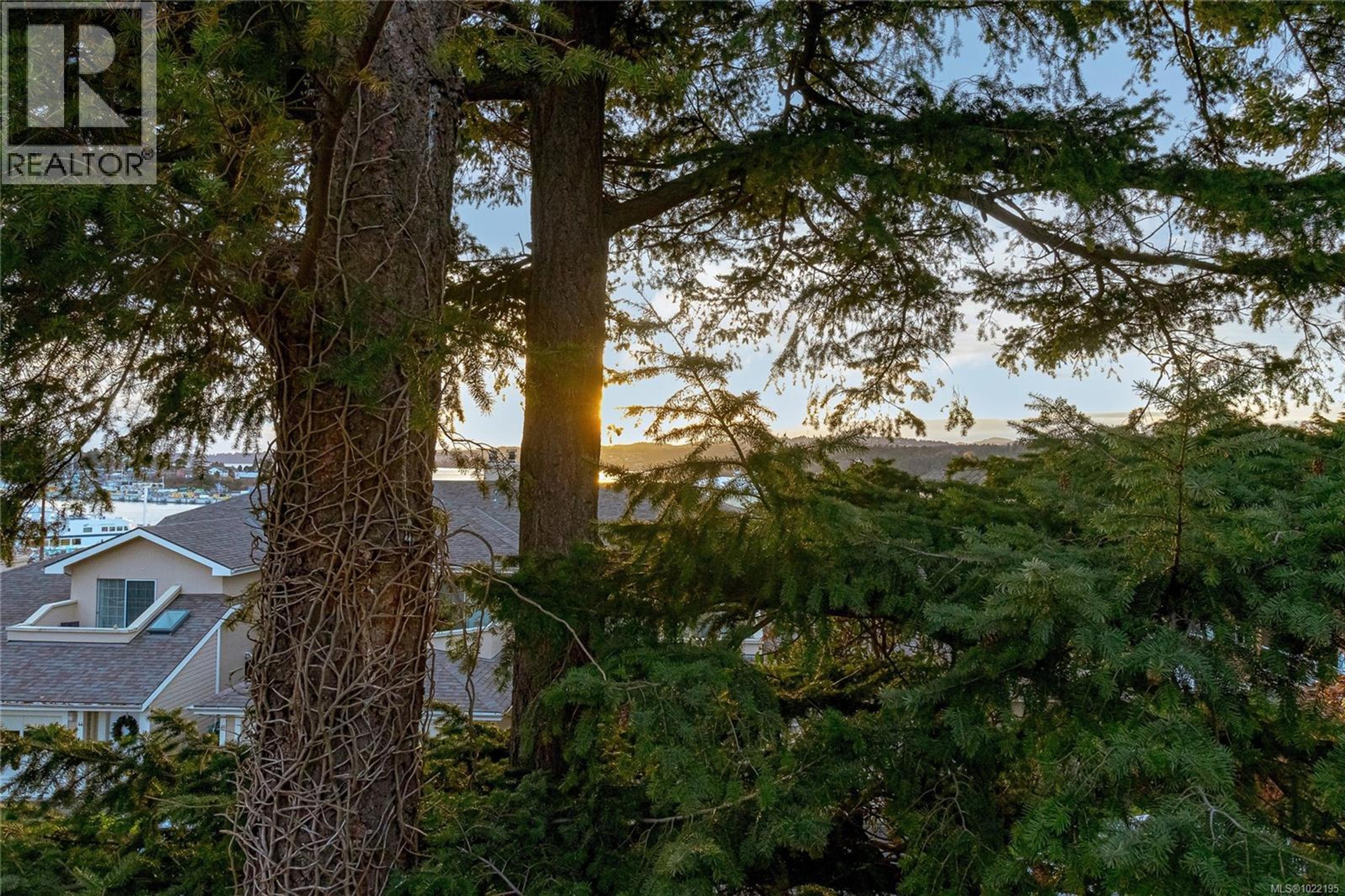 #33 909 ADMIRALS RD - 44