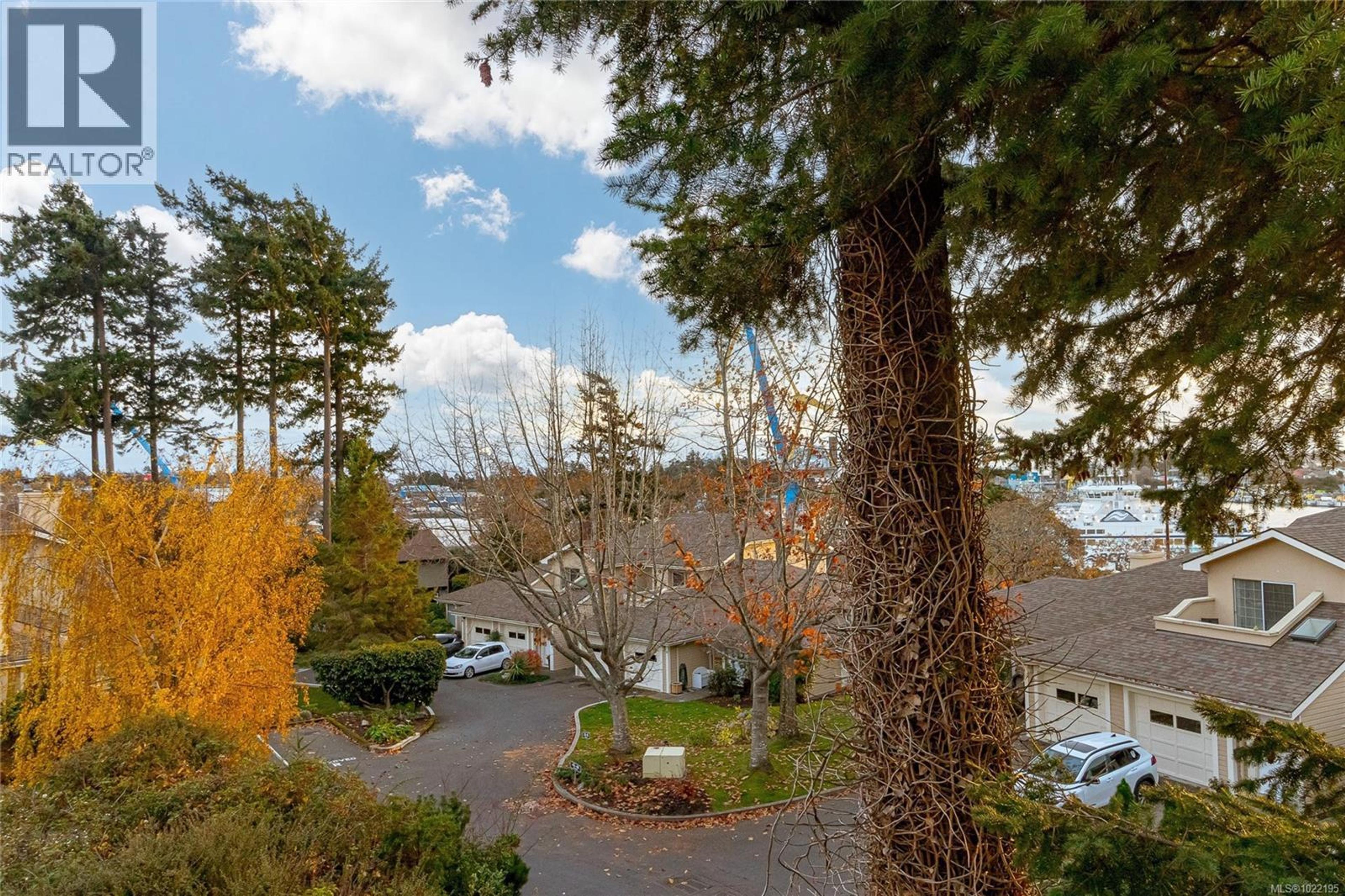 #33 909 ADMIRALS RD - 45