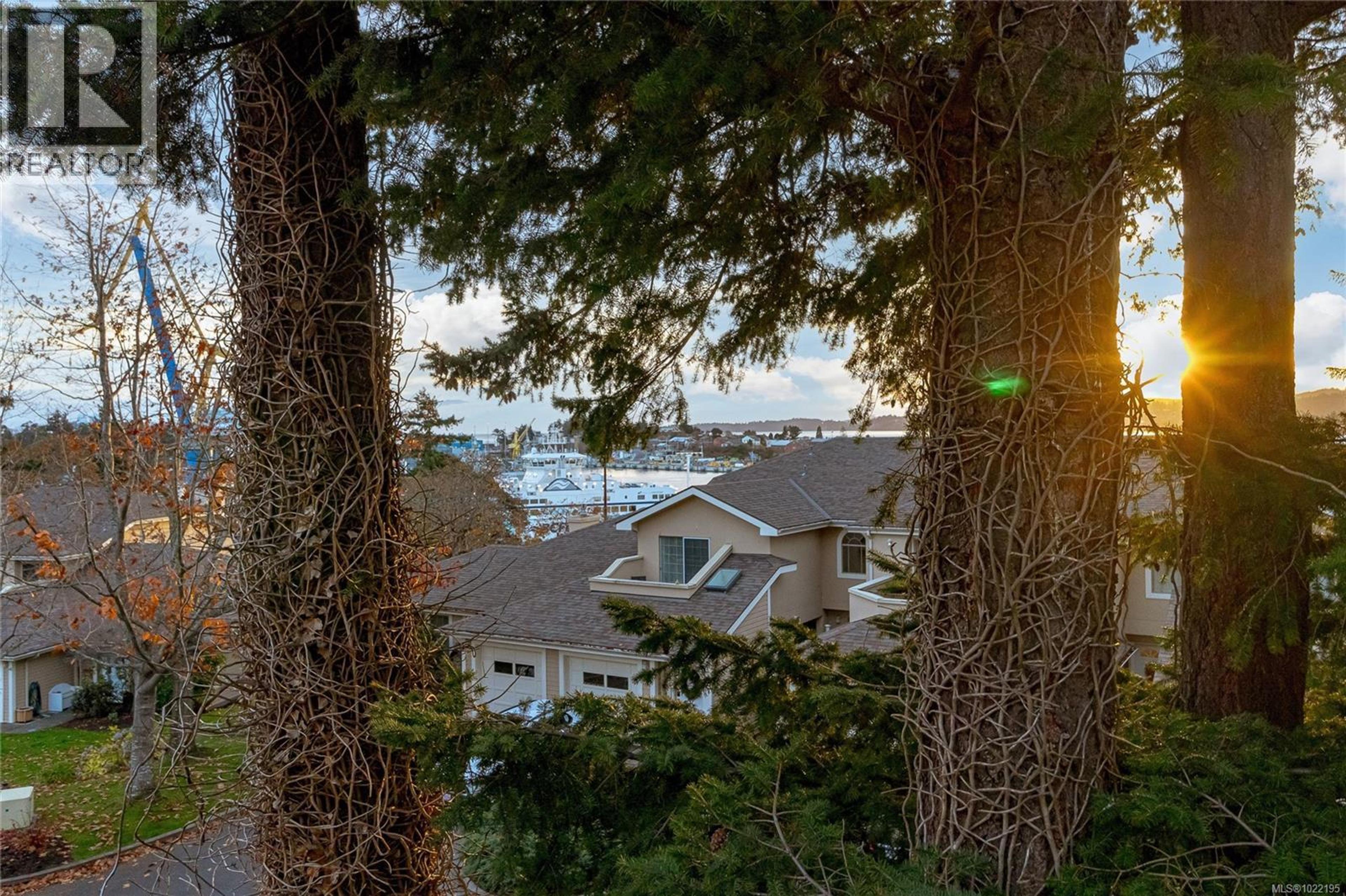 #33 909 ADMIRALS RD - 46