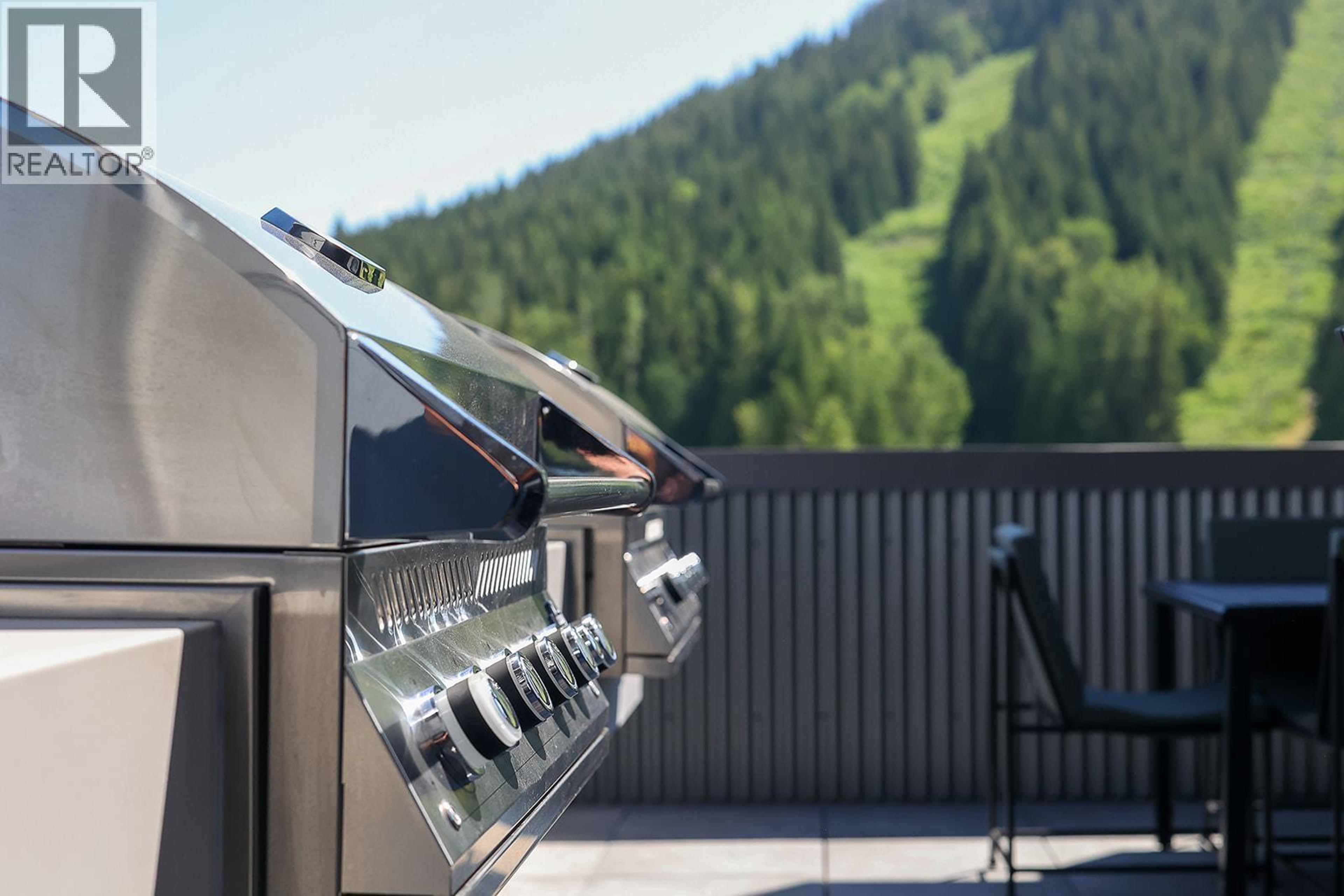 #111 4280 RED MOUNTAIN ROAD - 54