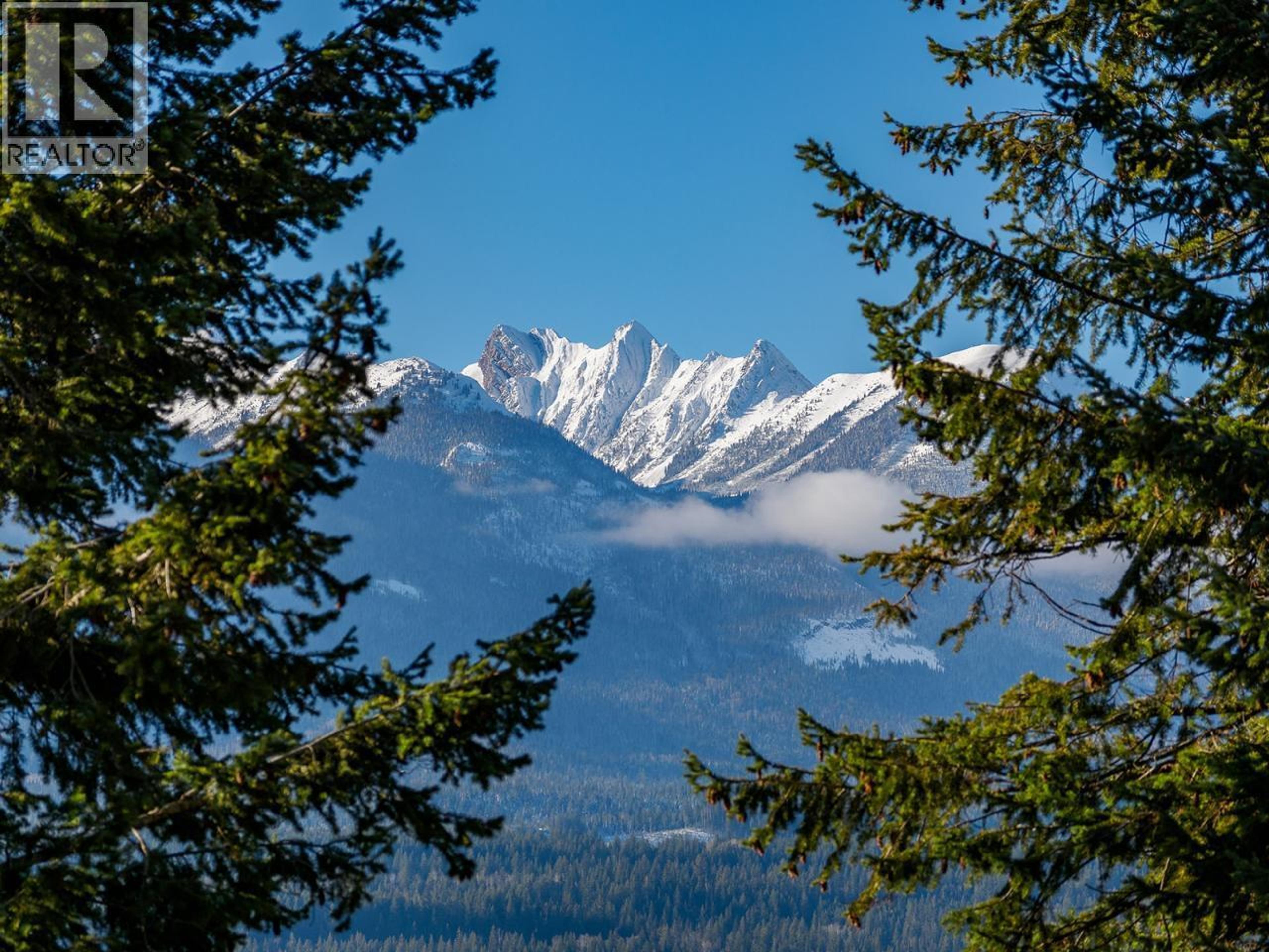 1403 DEER RIDGE ROAD - 72