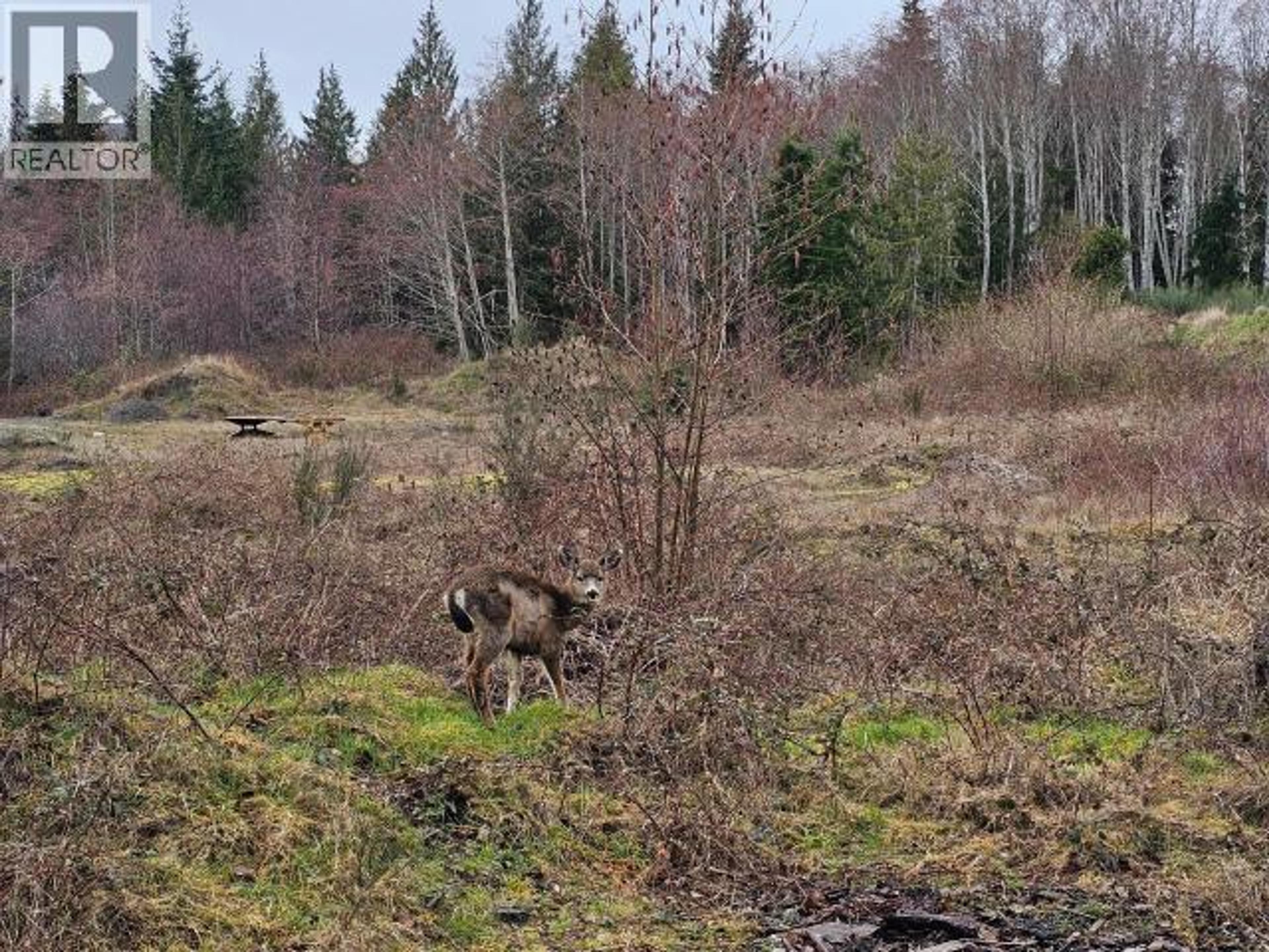 LOT 0 FERNWOOD AVE - Image 9