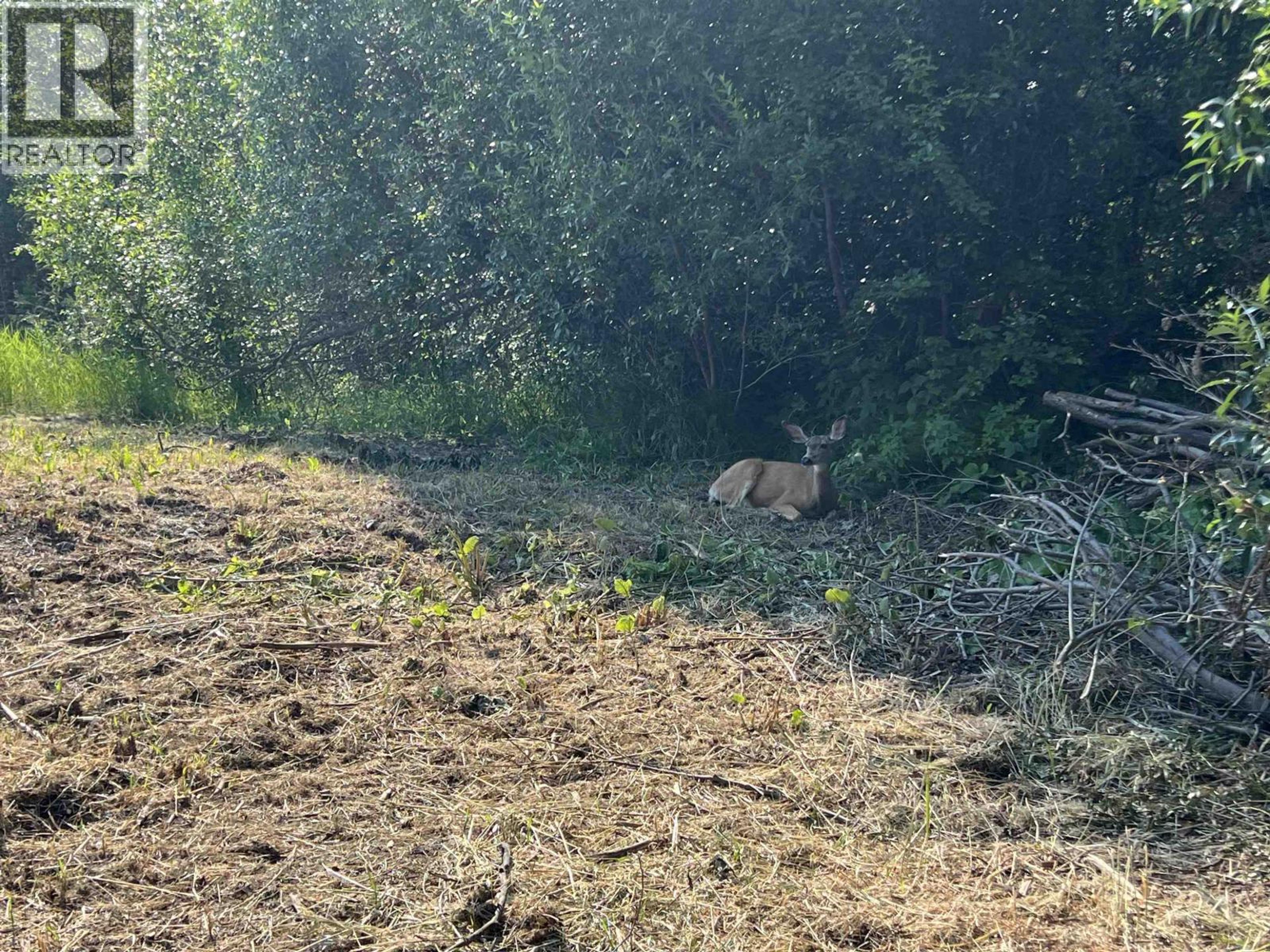 #2480 & 2482 NORWOOD ROAD - 10