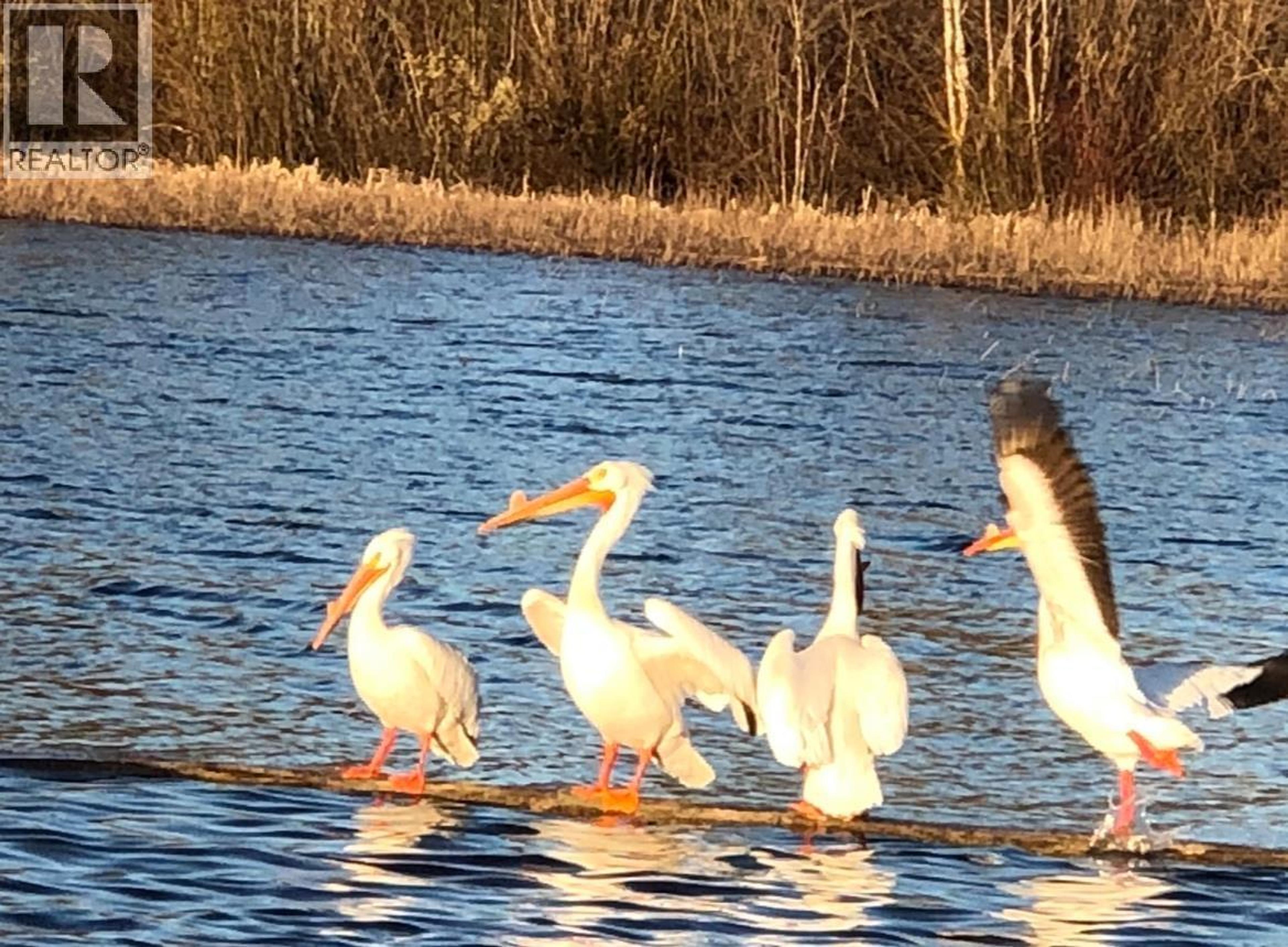 #2480 & 2482 NORWOOD ROAD - 26