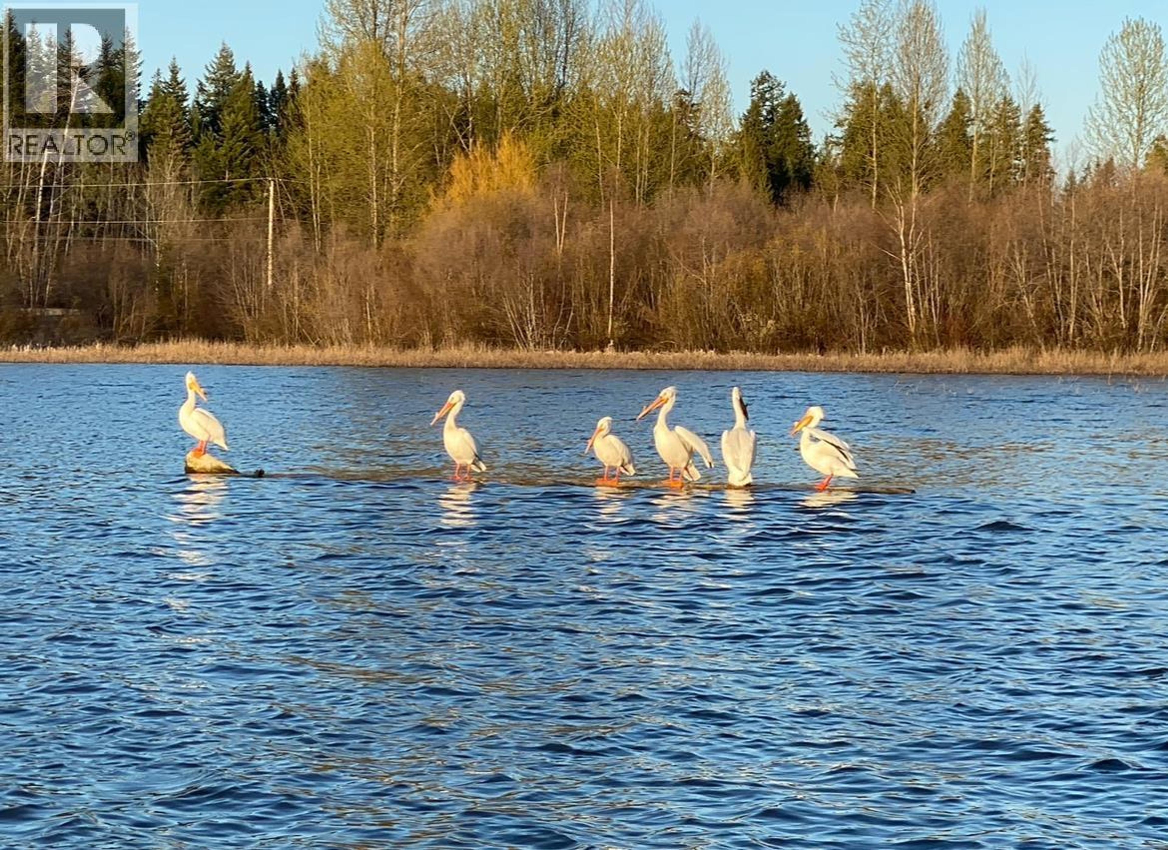 #2480 & 2482 NORWOOD ROAD - 27