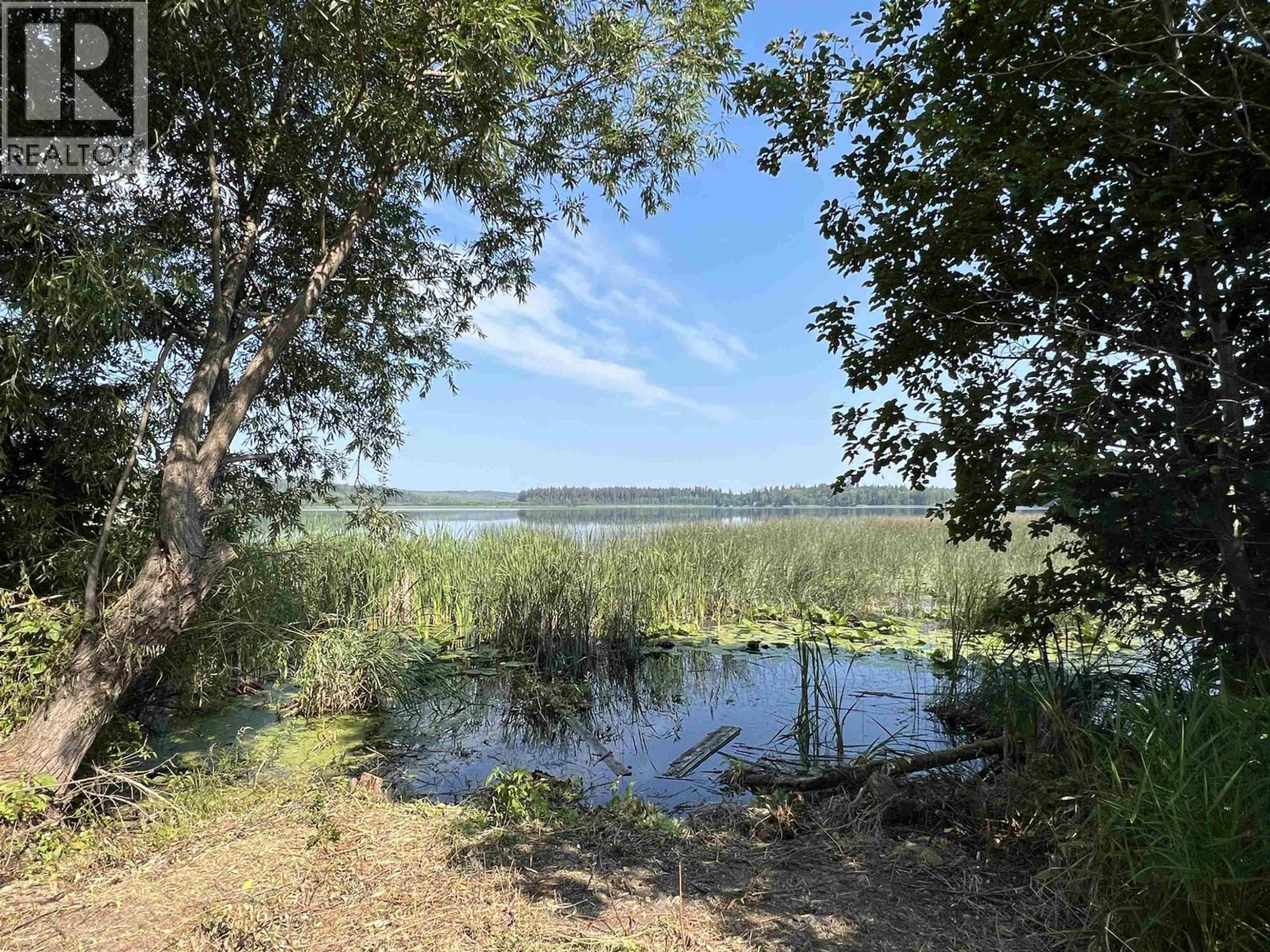 #2480 & 2482 NORWOOD ROAD - 7