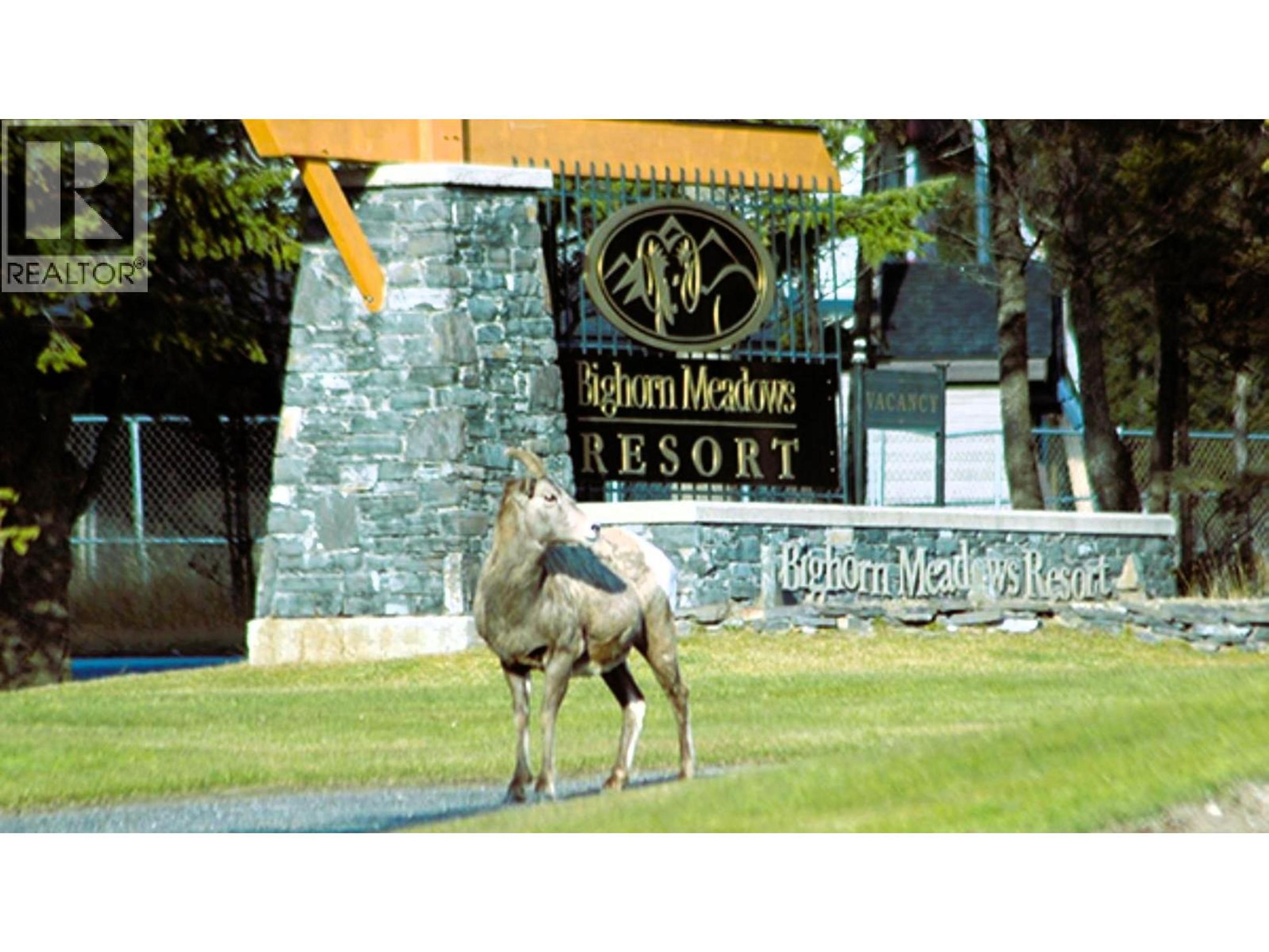 #415 Q 400 BIGHORN BOULEVARD - 66