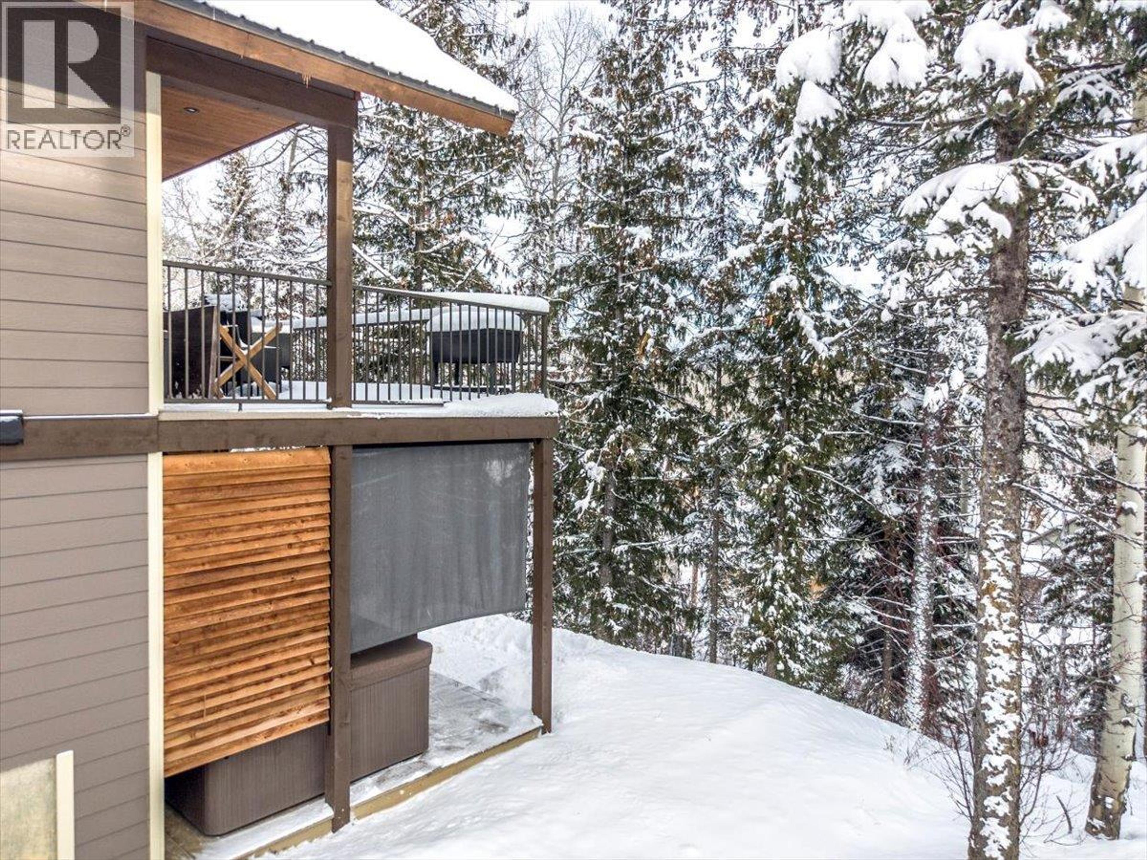 12 ALPINE TRAIL PLACE - 49