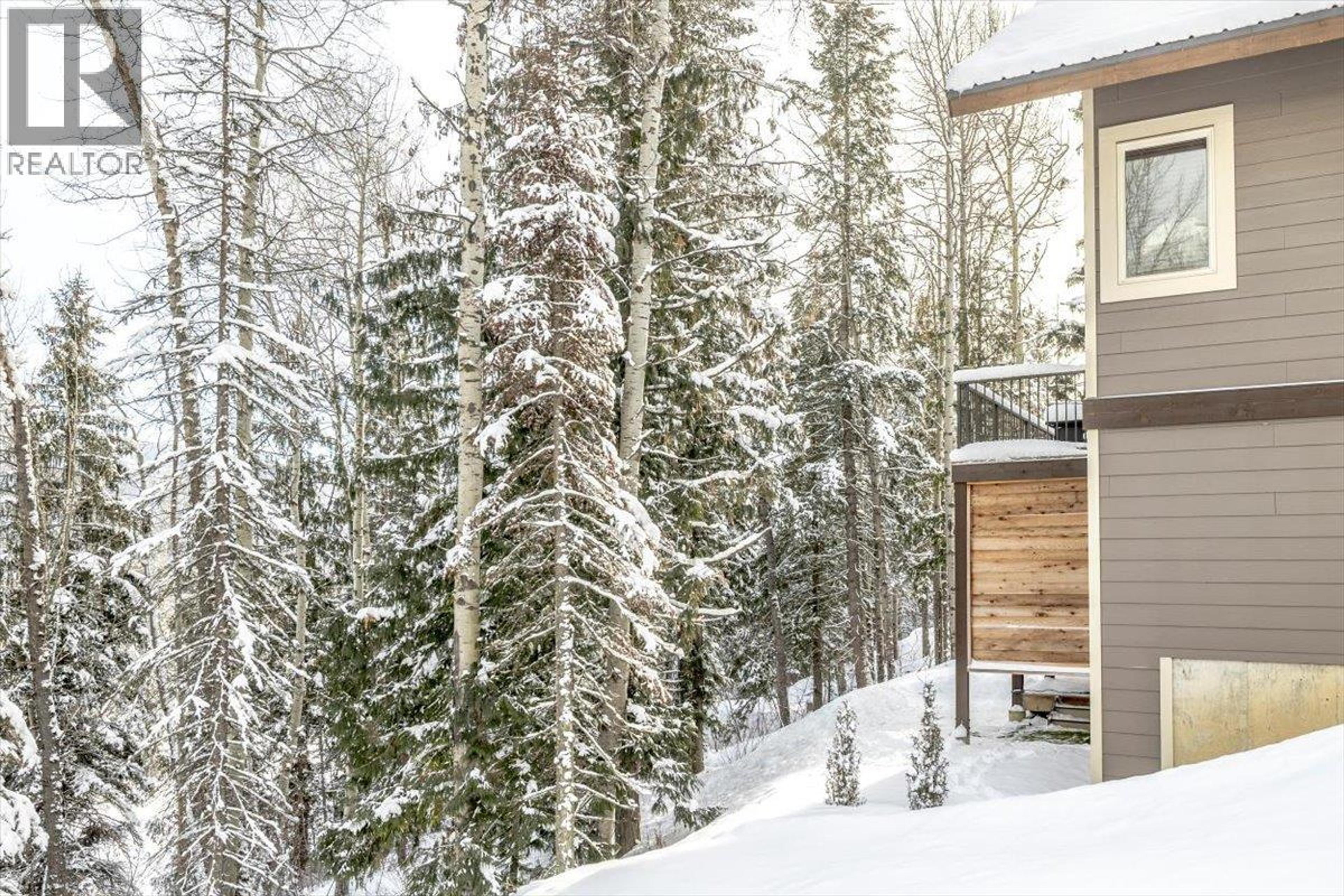 12 ALPINE TRAIL PLACE - 50