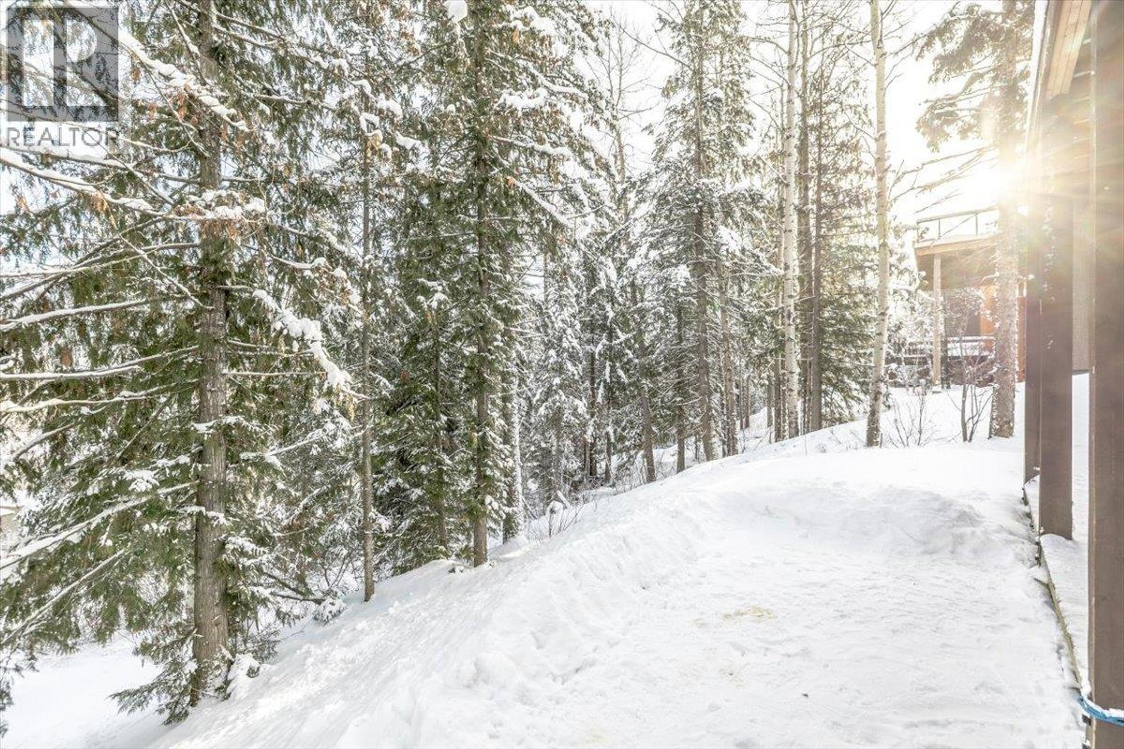 12 ALPINE TRAIL PLACE - 51