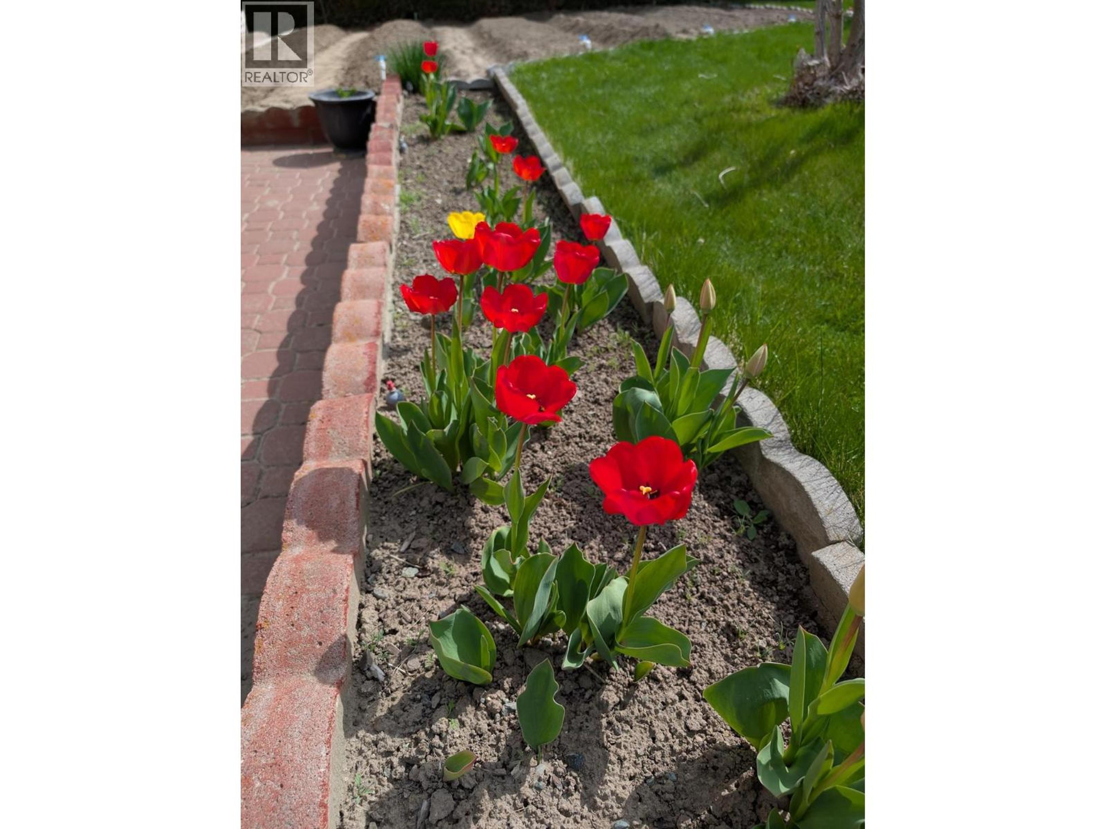 11708 QUAIL RIDGE PLACE - 42