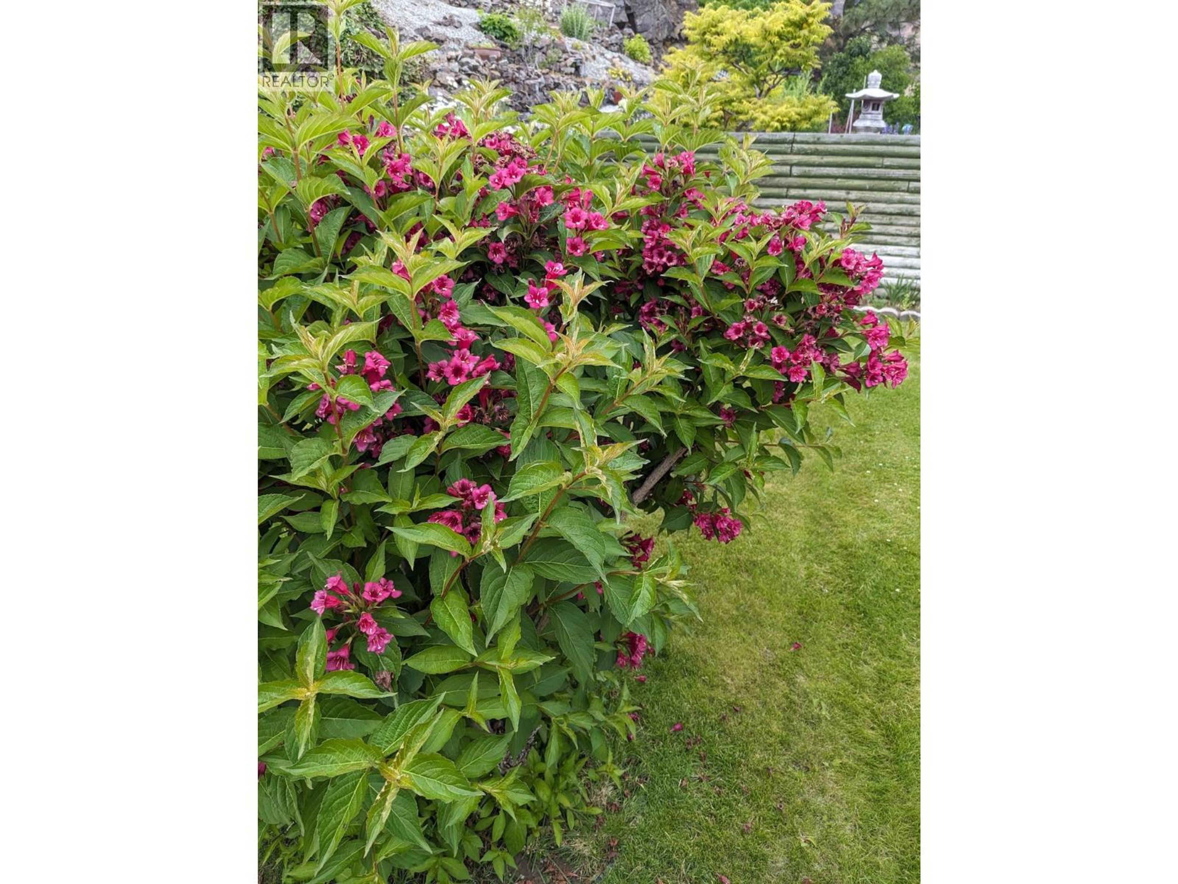 11708 QUAIL RIDGE PLACE - 46