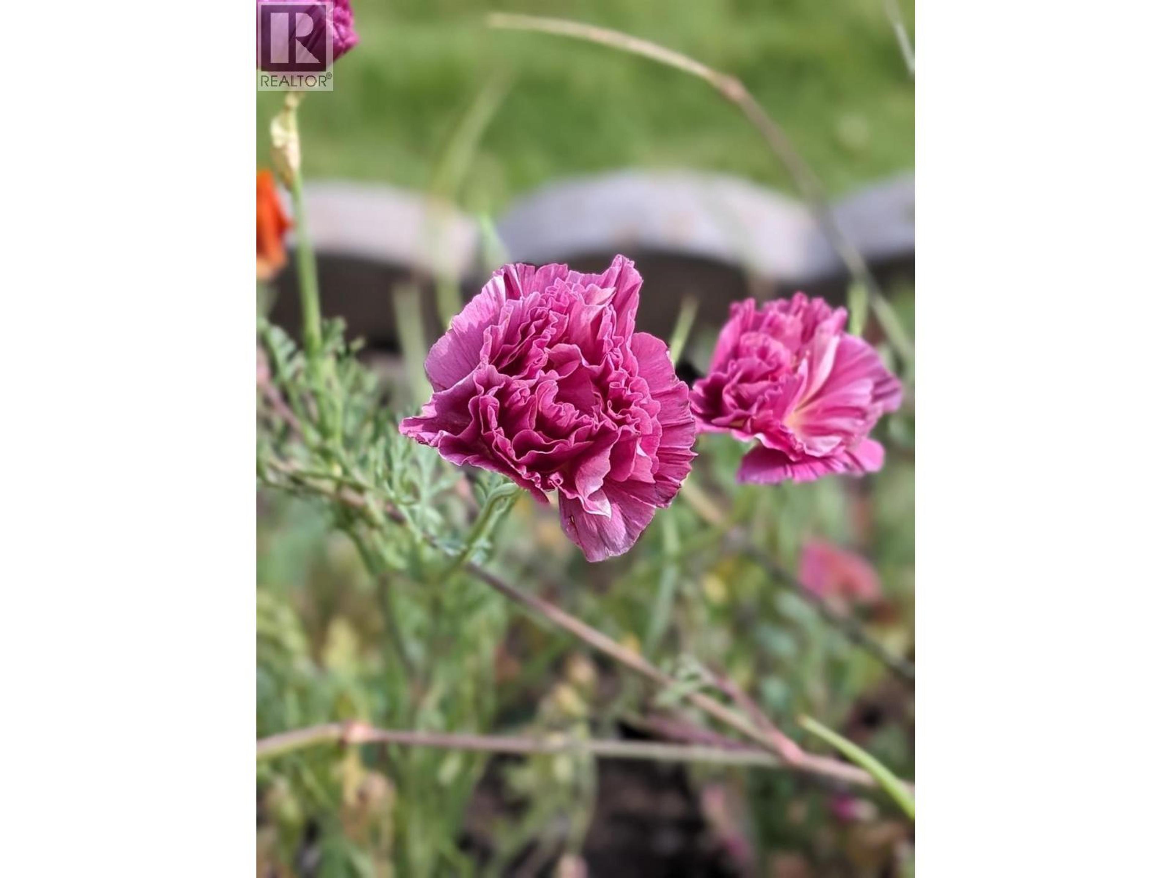 11708 QUAIL RIDGE PLACE - 47