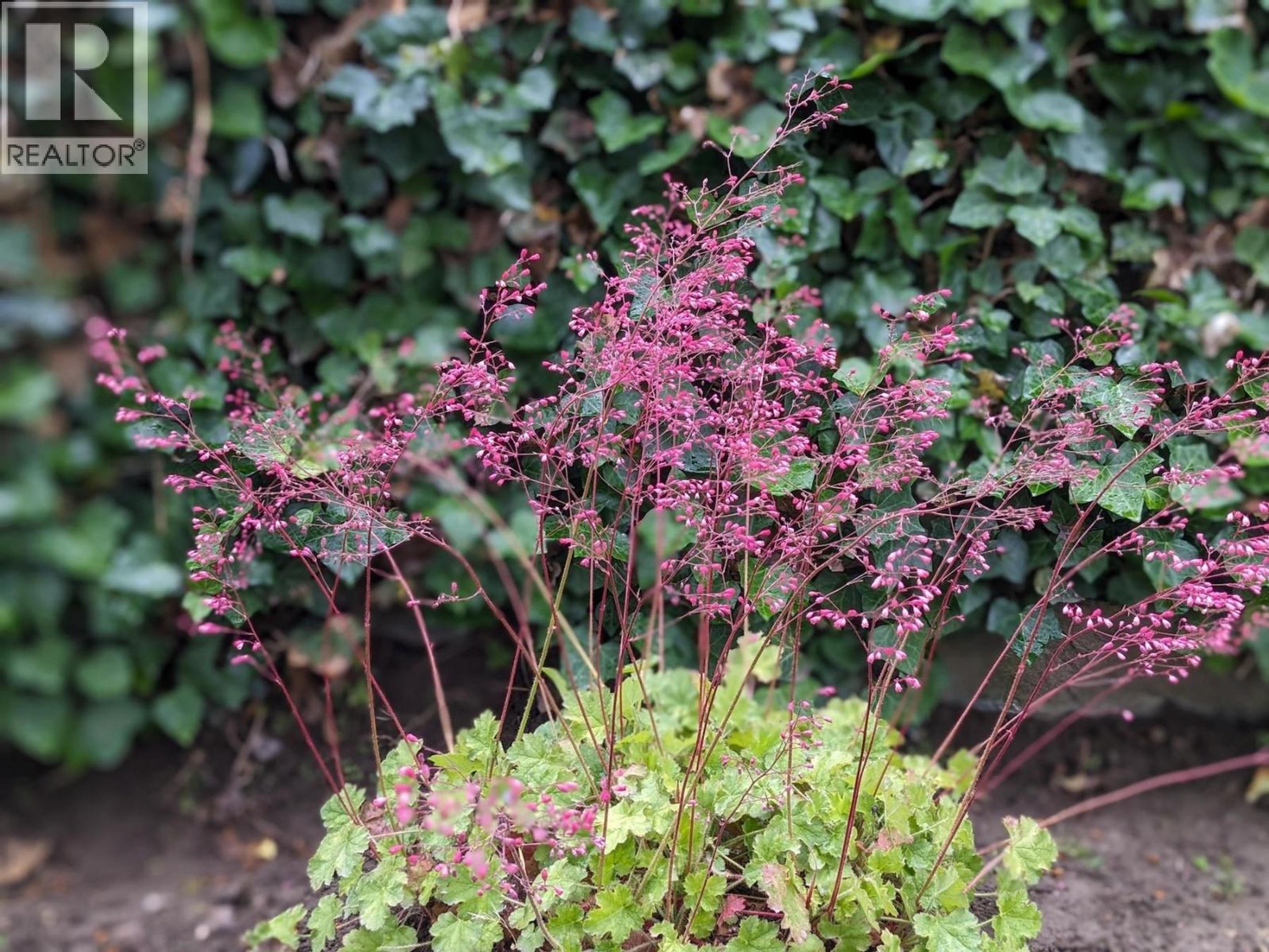 11708 QUAIL RIDGE PLACE - 48