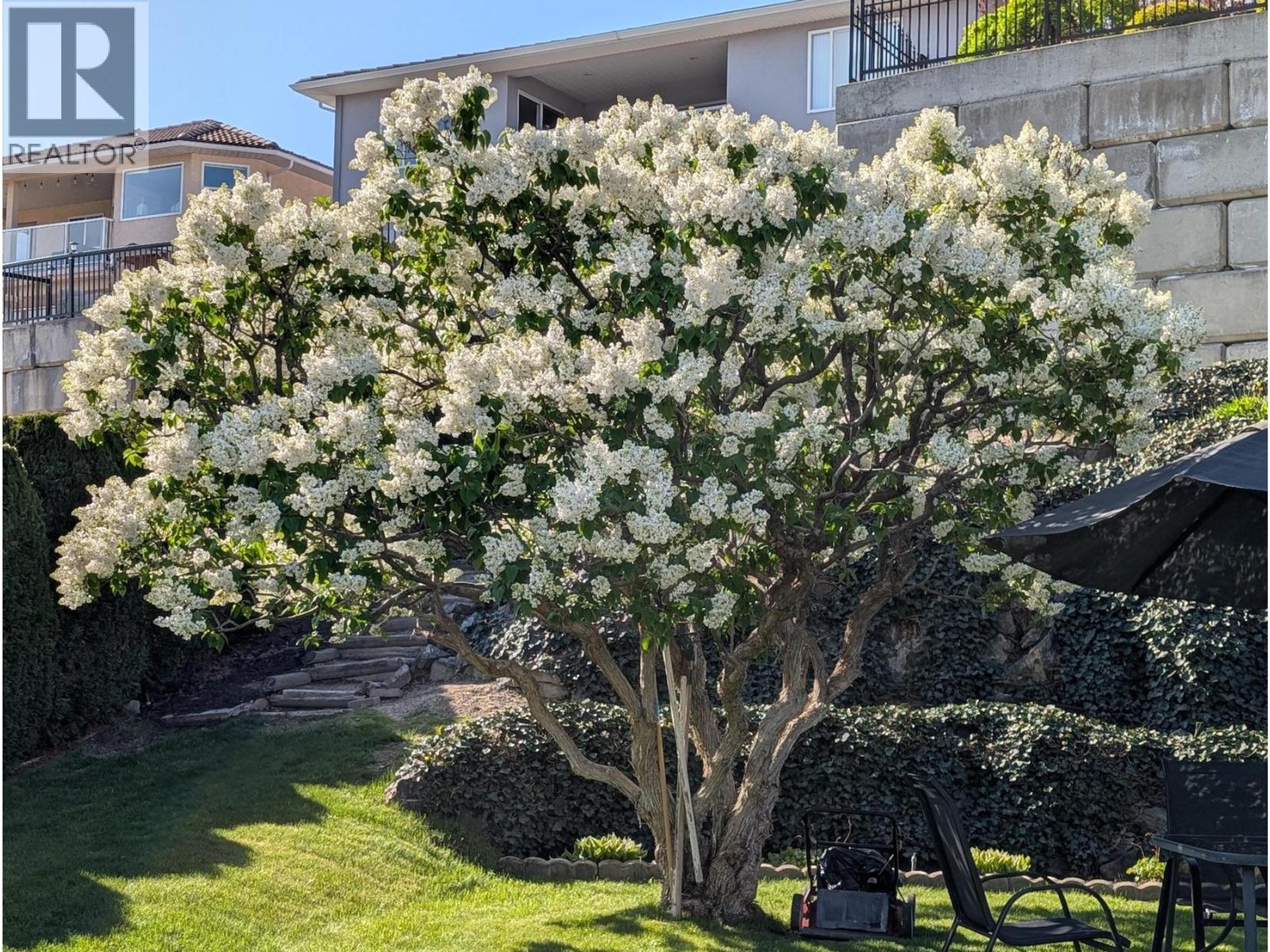 11708 QUAIL RIDGE PLACE - 7