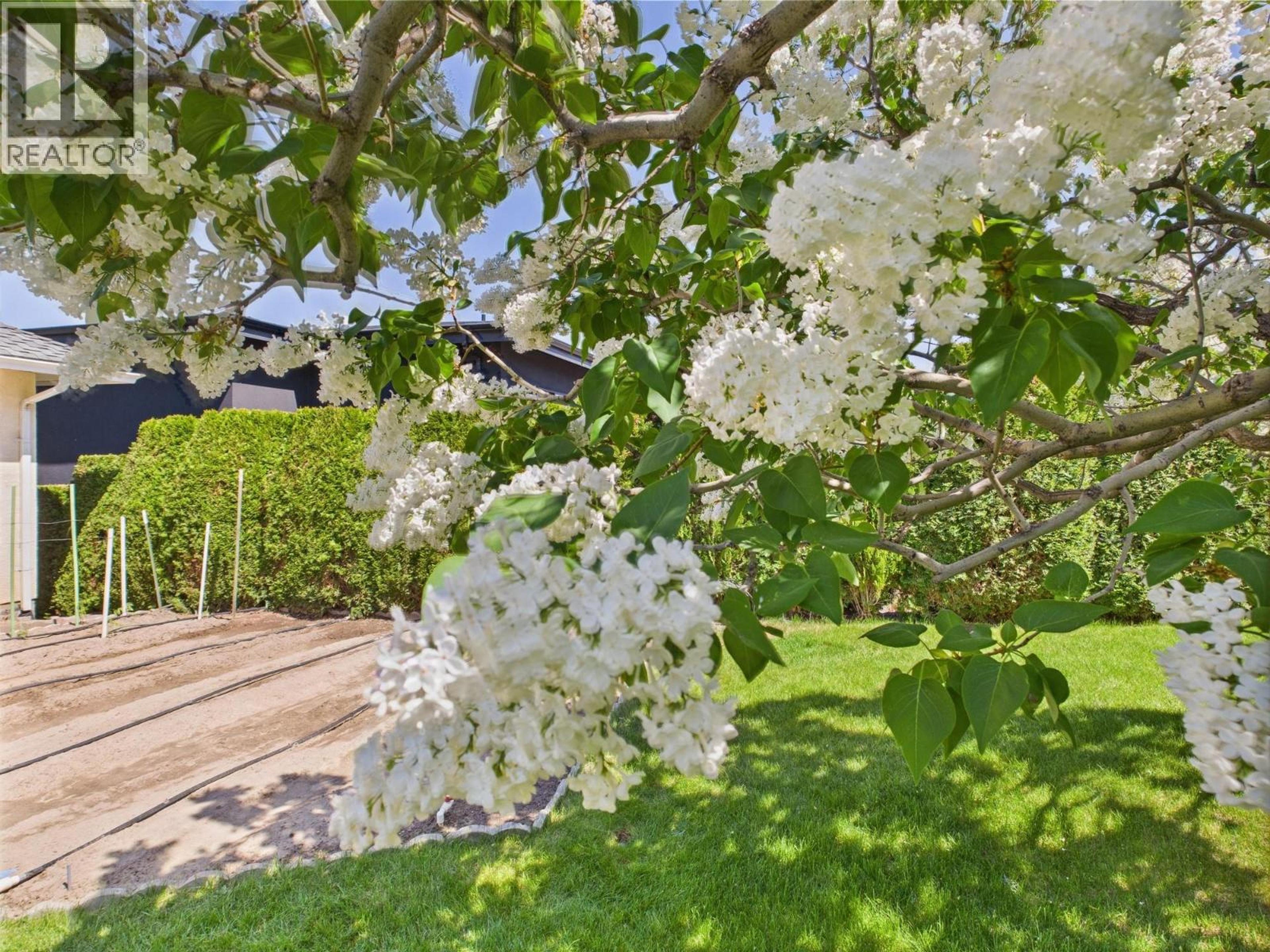 11708 QUAIL RIDGE PLACE - 8