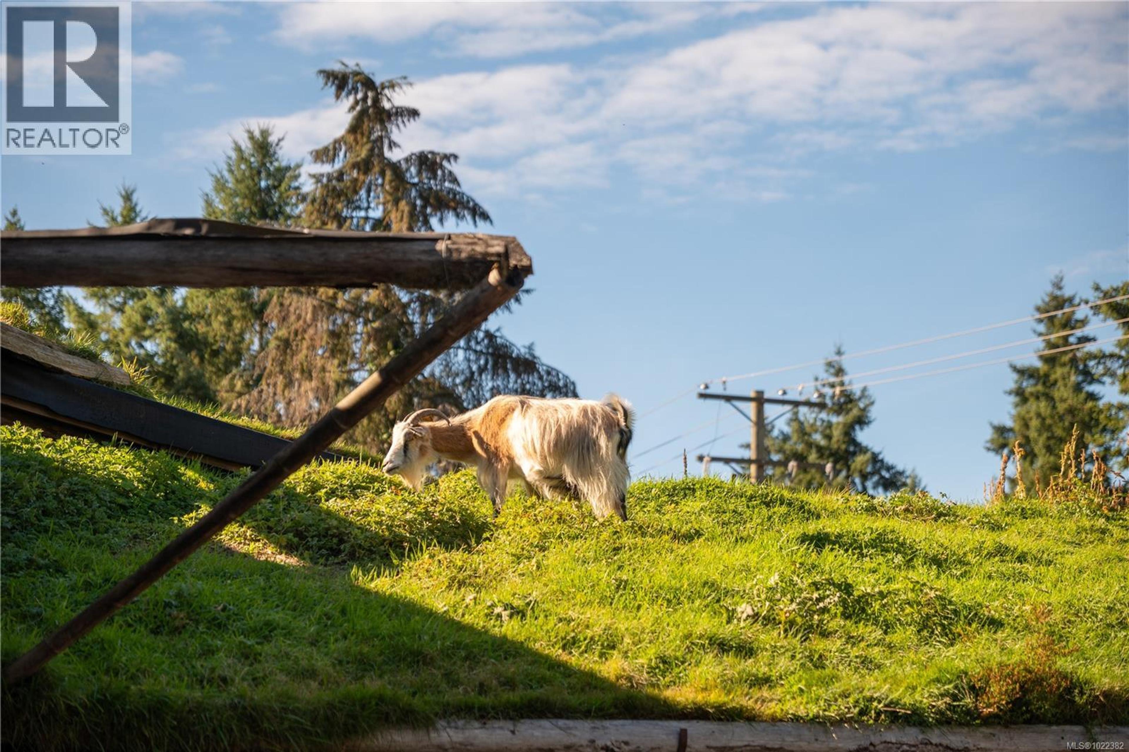 #16 703 TURNER RD - 11