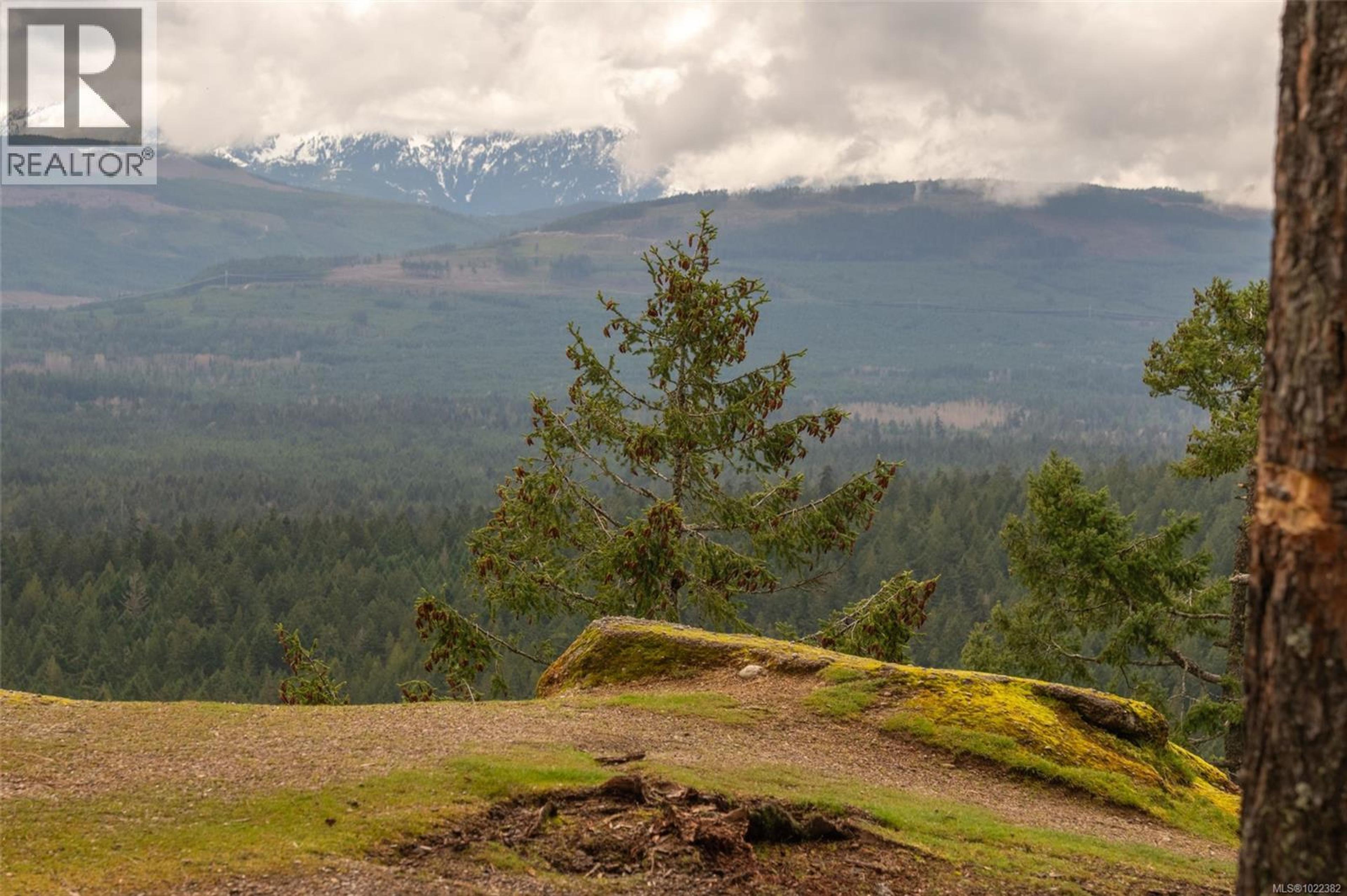 #16 703 TURNER RD - 25