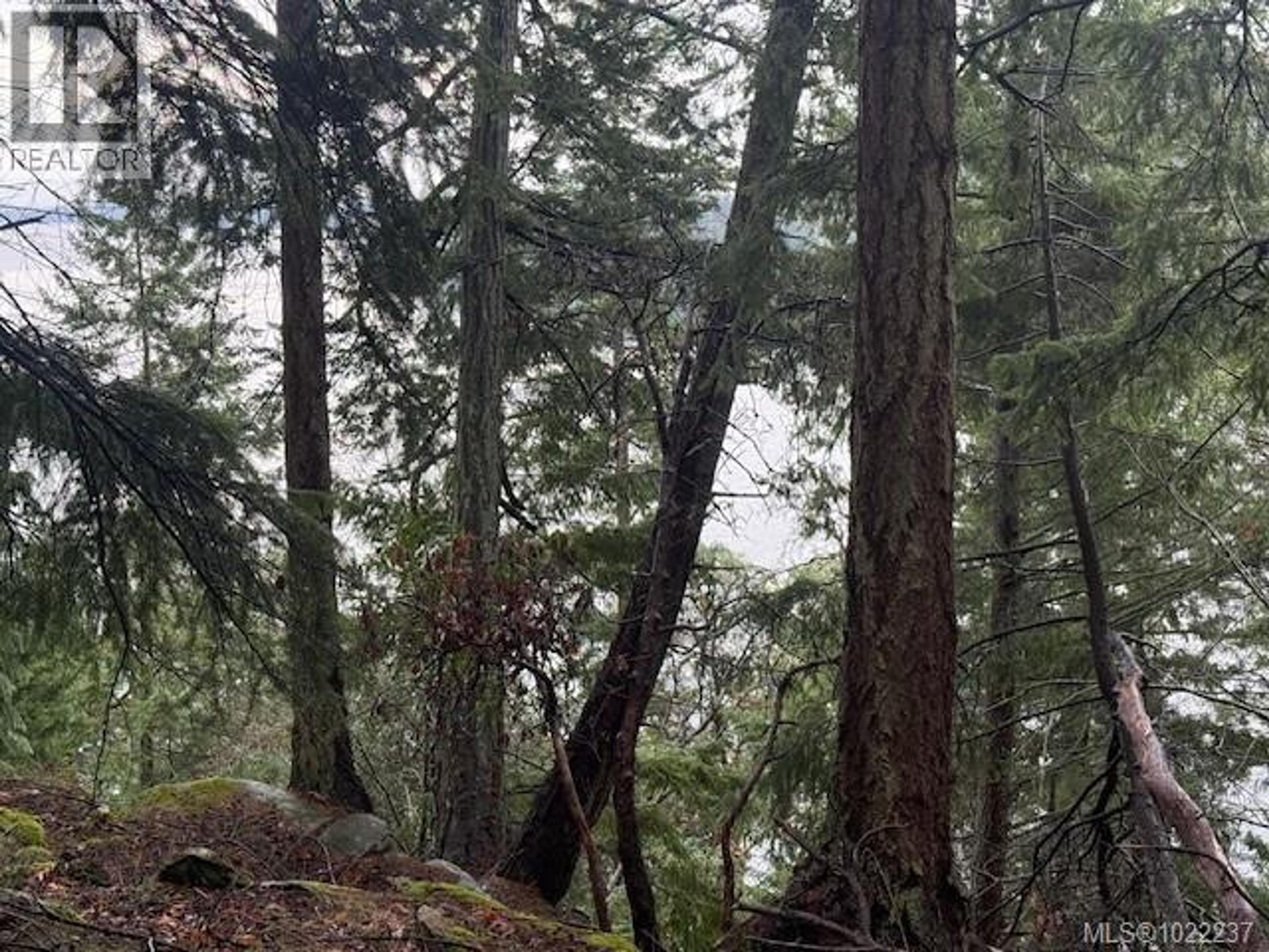 127 HALIBUT HILL RD - Image 7