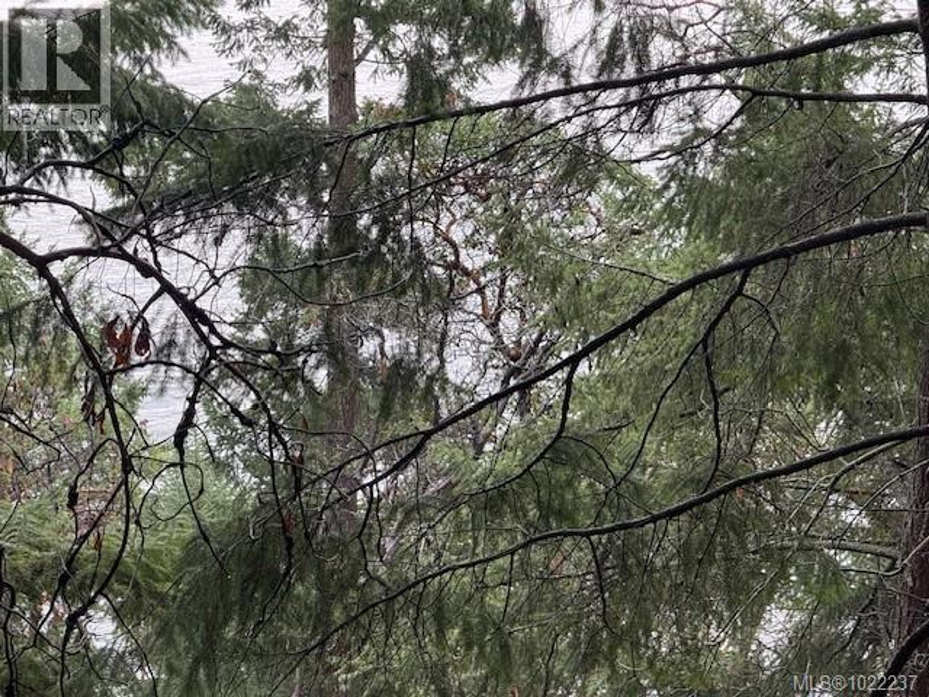 127 HALIBUT HILL RD - Image 8