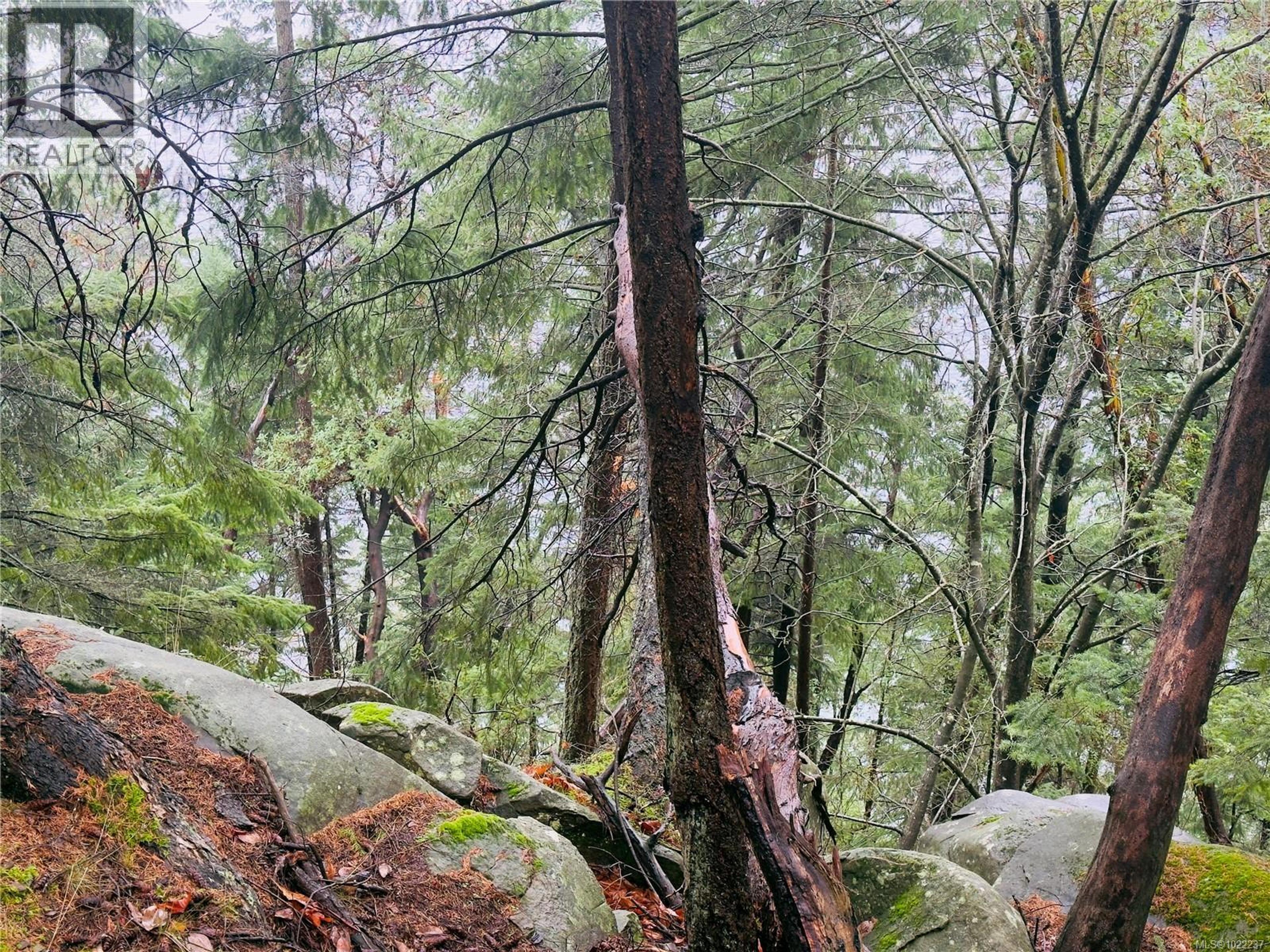 127 HALIBUT HILL RD - Image 6