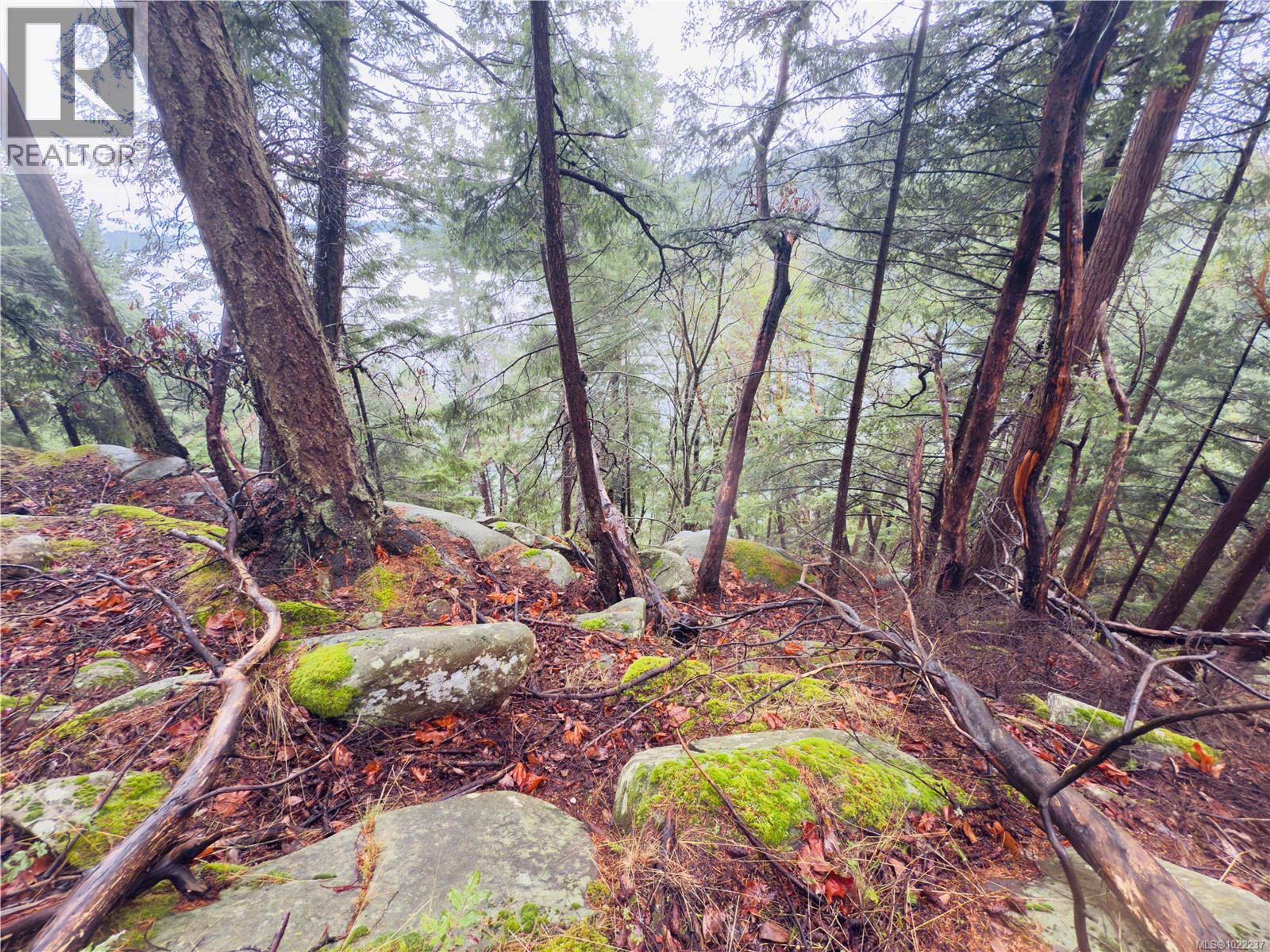 127 HALIBUT HILL RD - Image 5