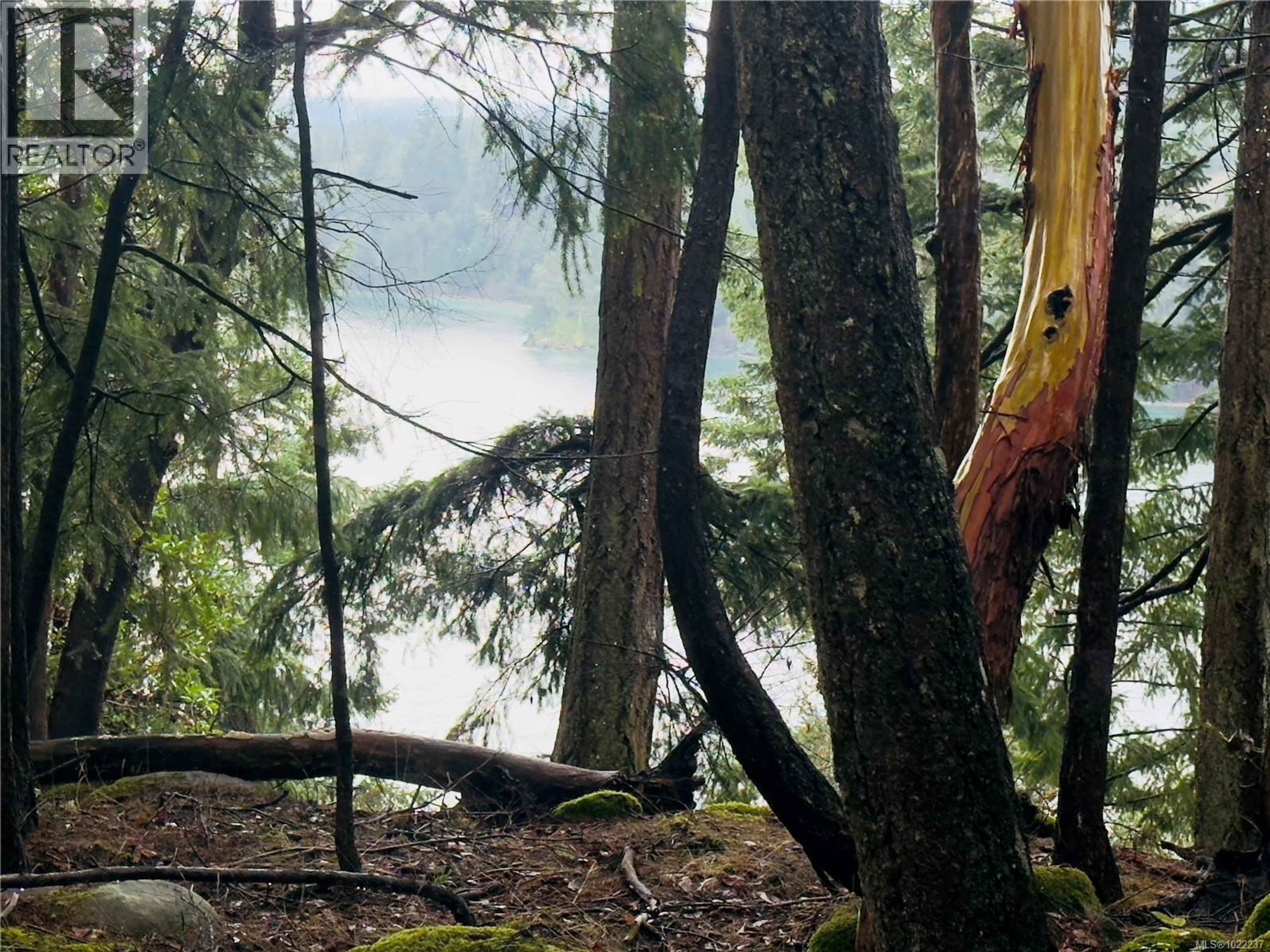 127 HALIBUT HILL RD - Image 1