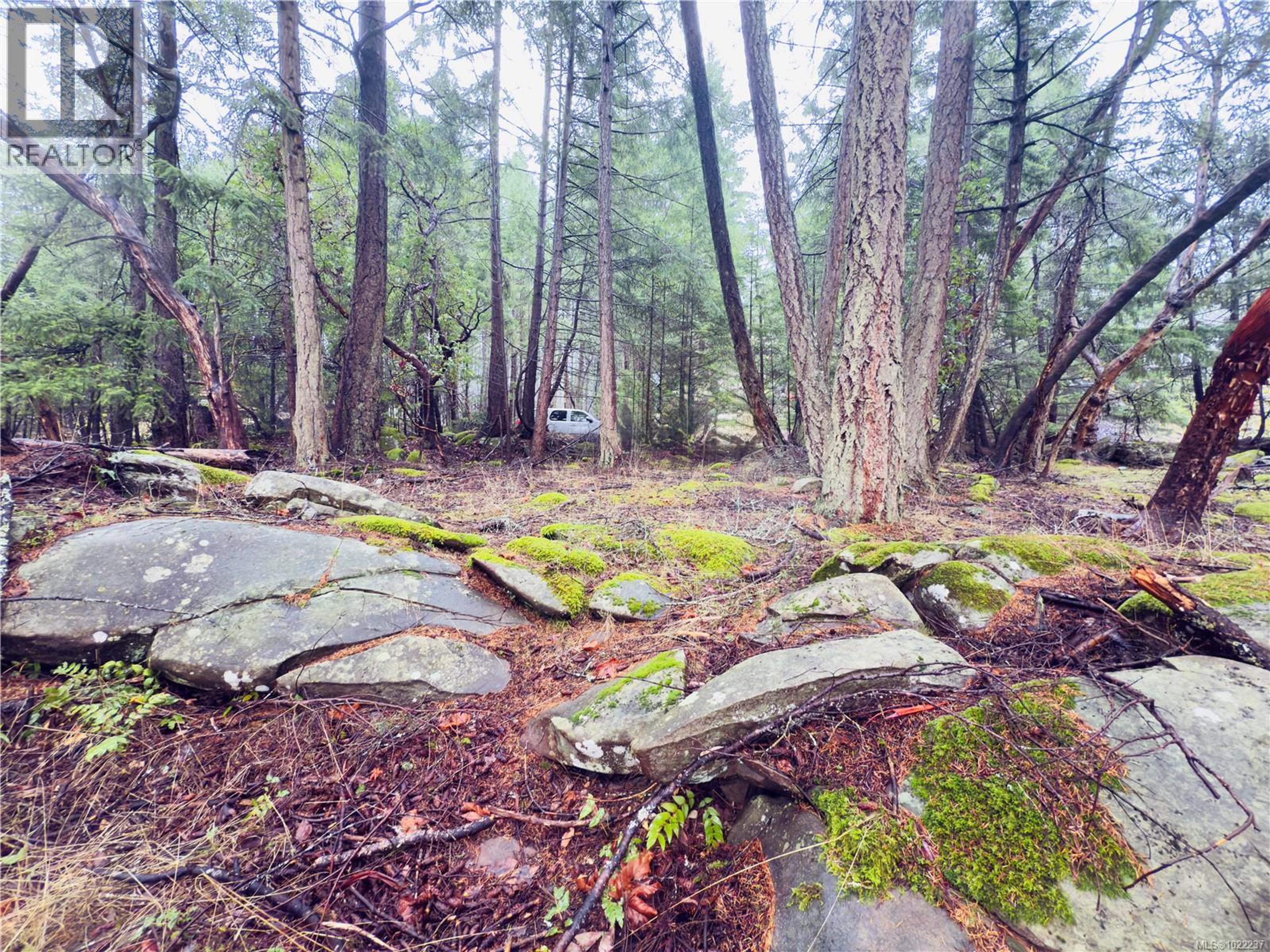 127 HALIBUT HILL RD - Image 2