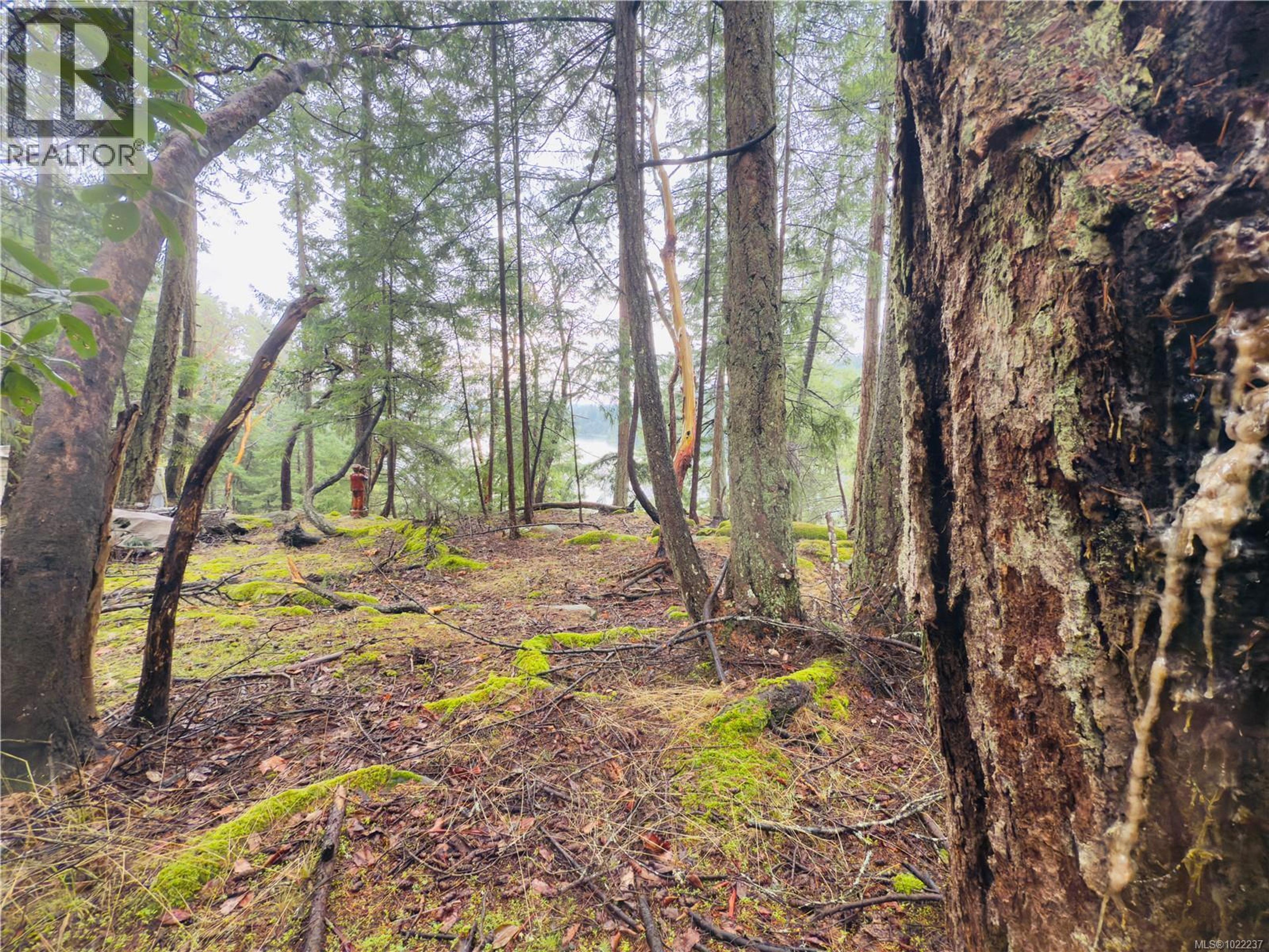 127 HALIBUT HILL RD - Image 4