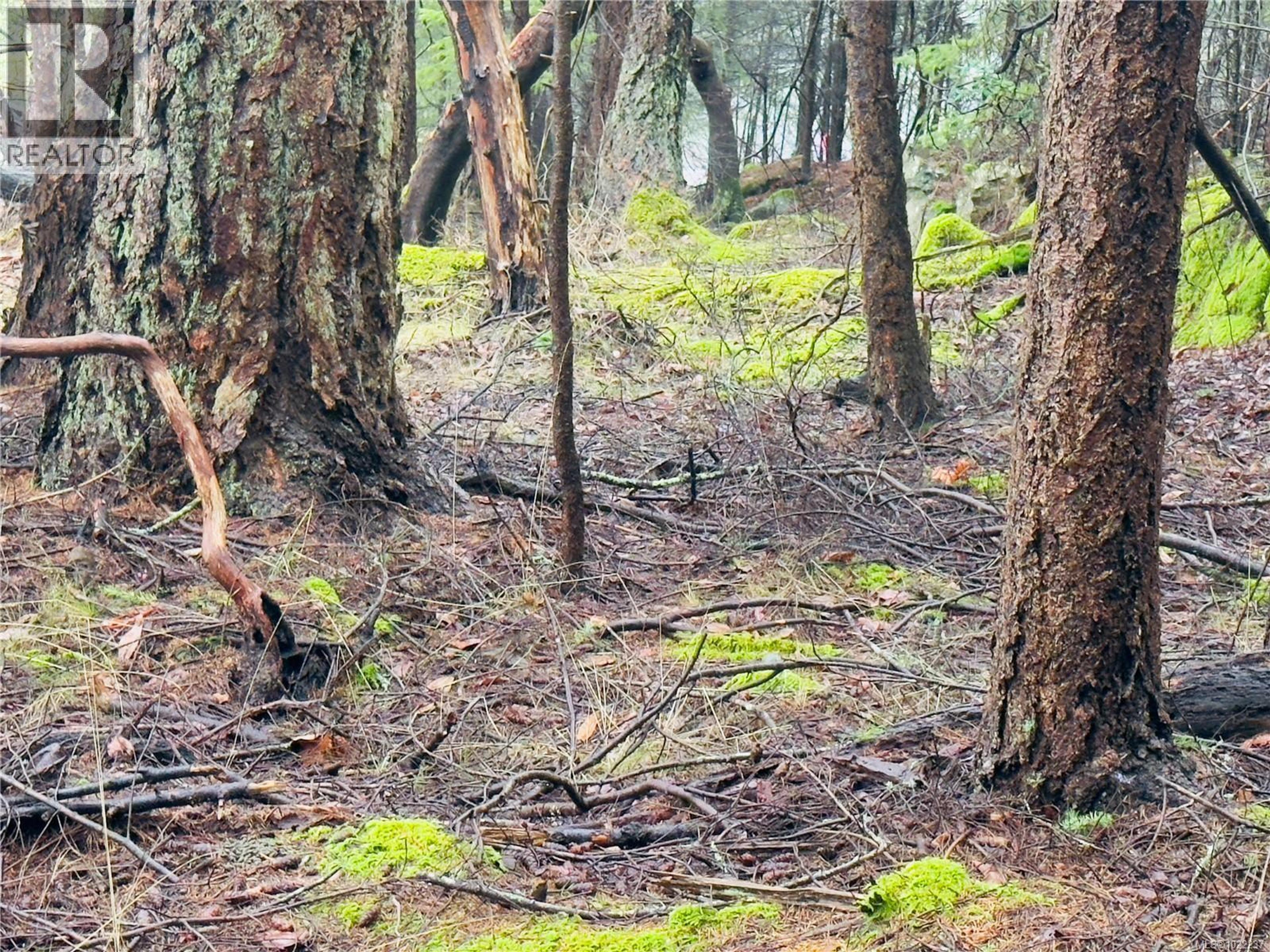 127 HALIBUT HILL RD - Image 3