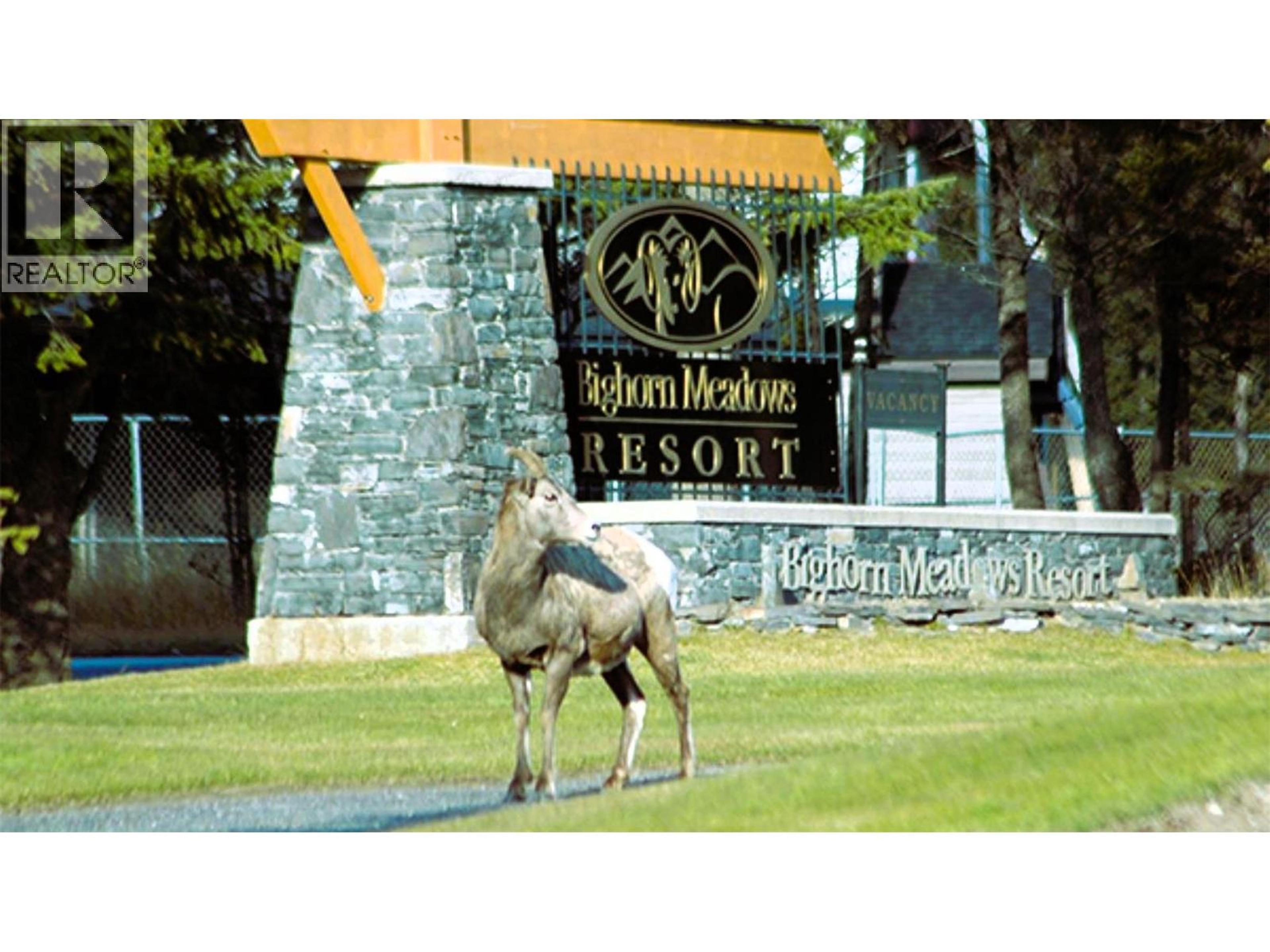 #416 D 400 BIGHORN BOULEVARD - 75