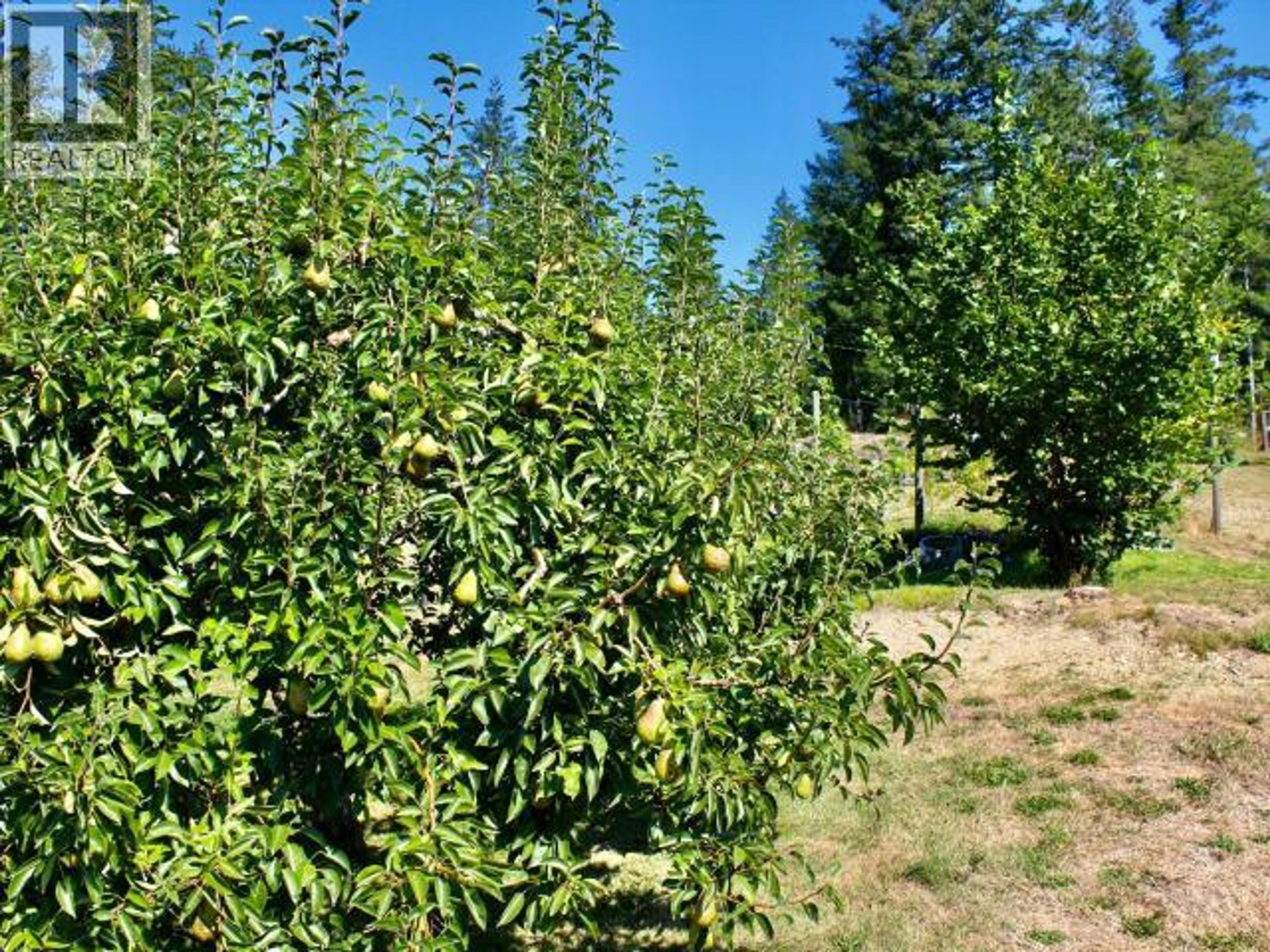 5062 SPRAGGE ROAD - 70