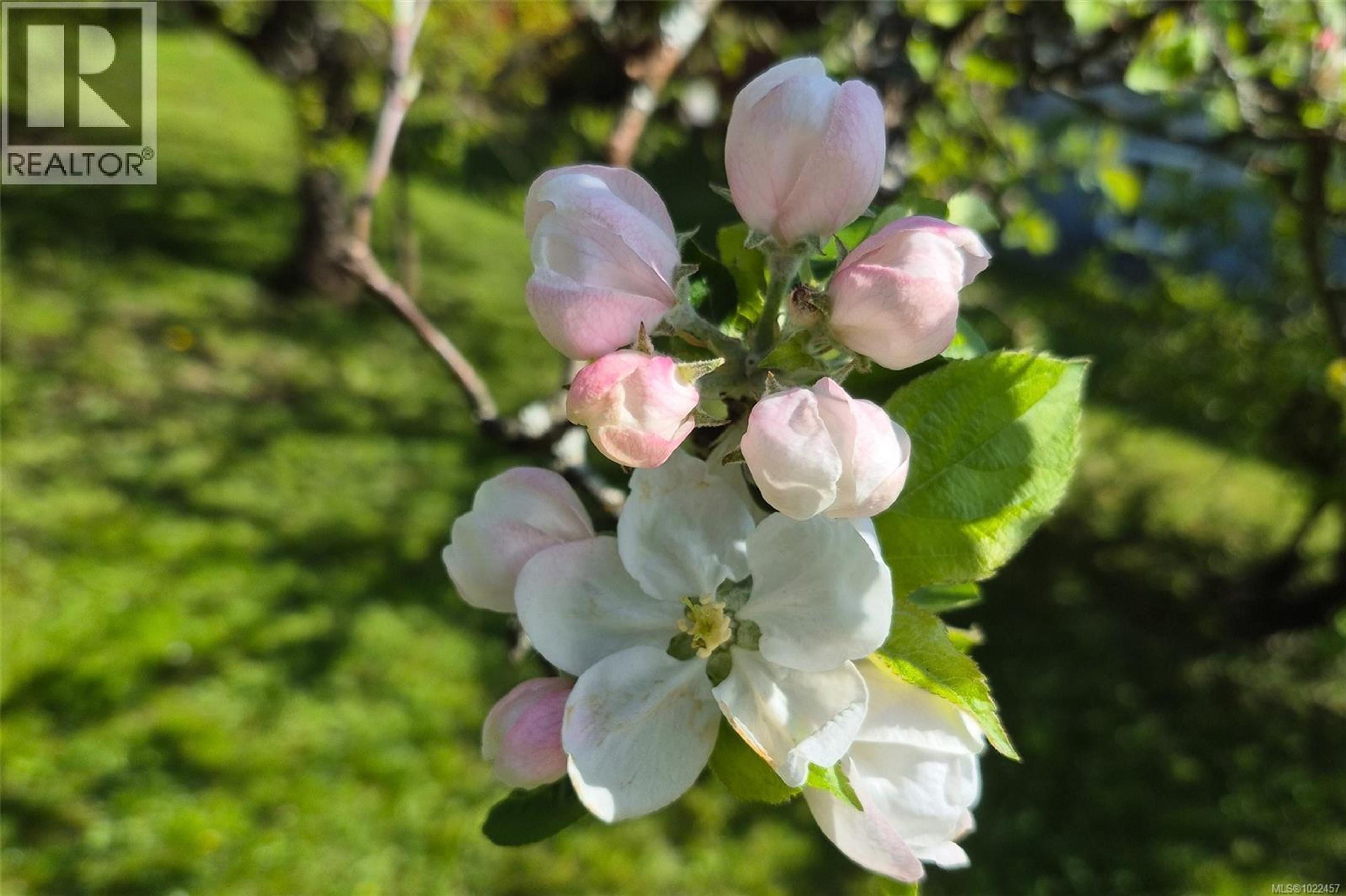 3638 6TH AVE - Image 18