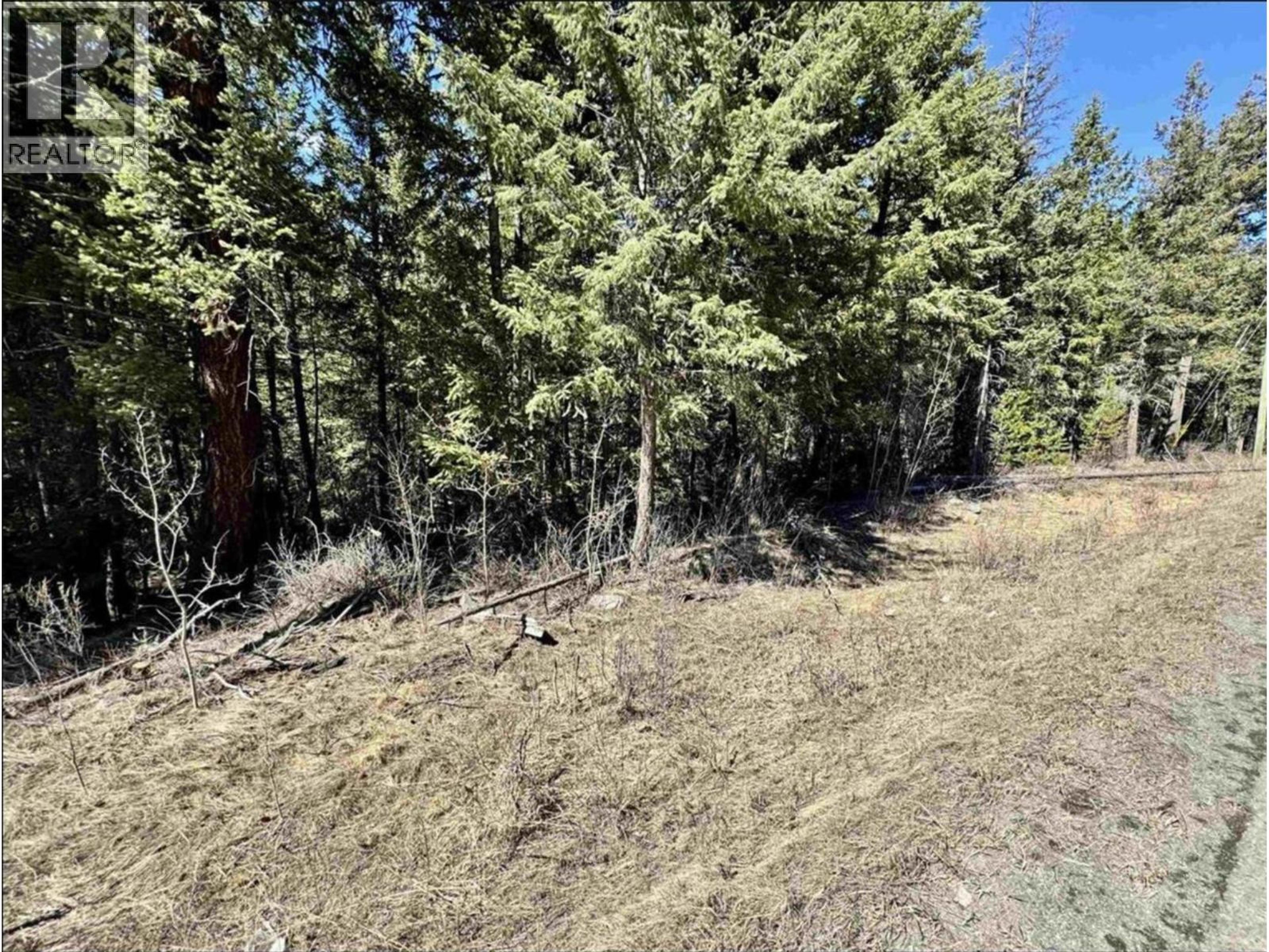 LOT B HORSE LAKE ROAD - Image 5