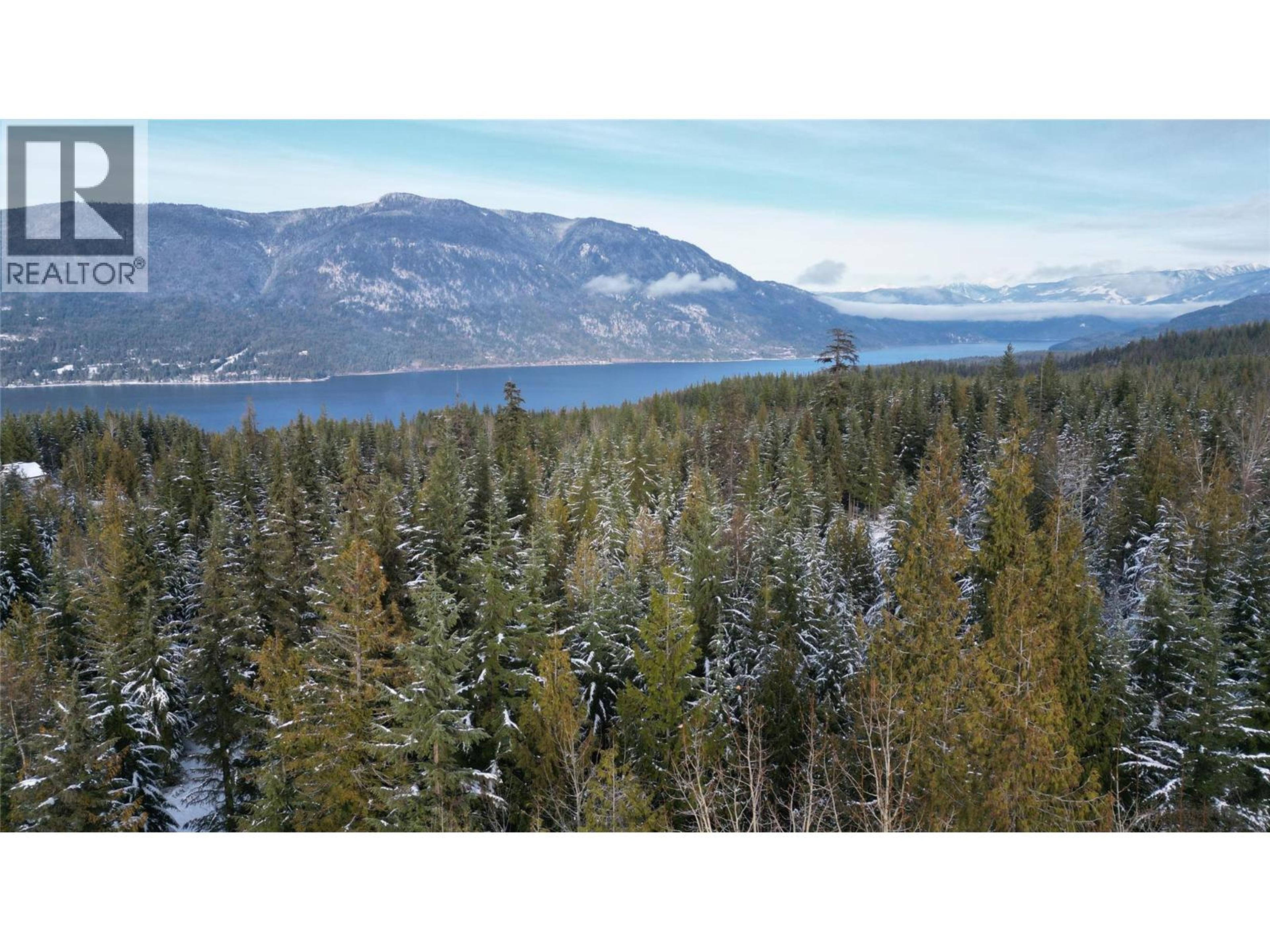 LS  16 BASTION IVY ROAD - Image 5