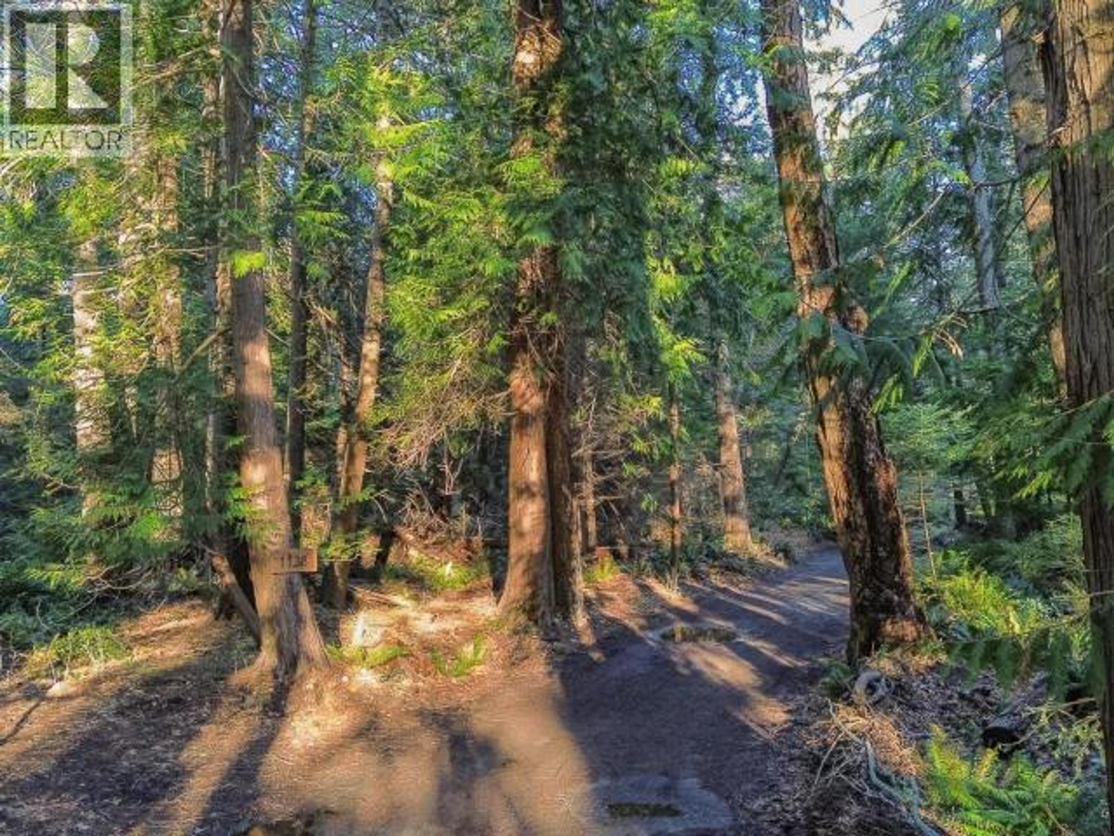 1136 HERCHMER ROAD - 19