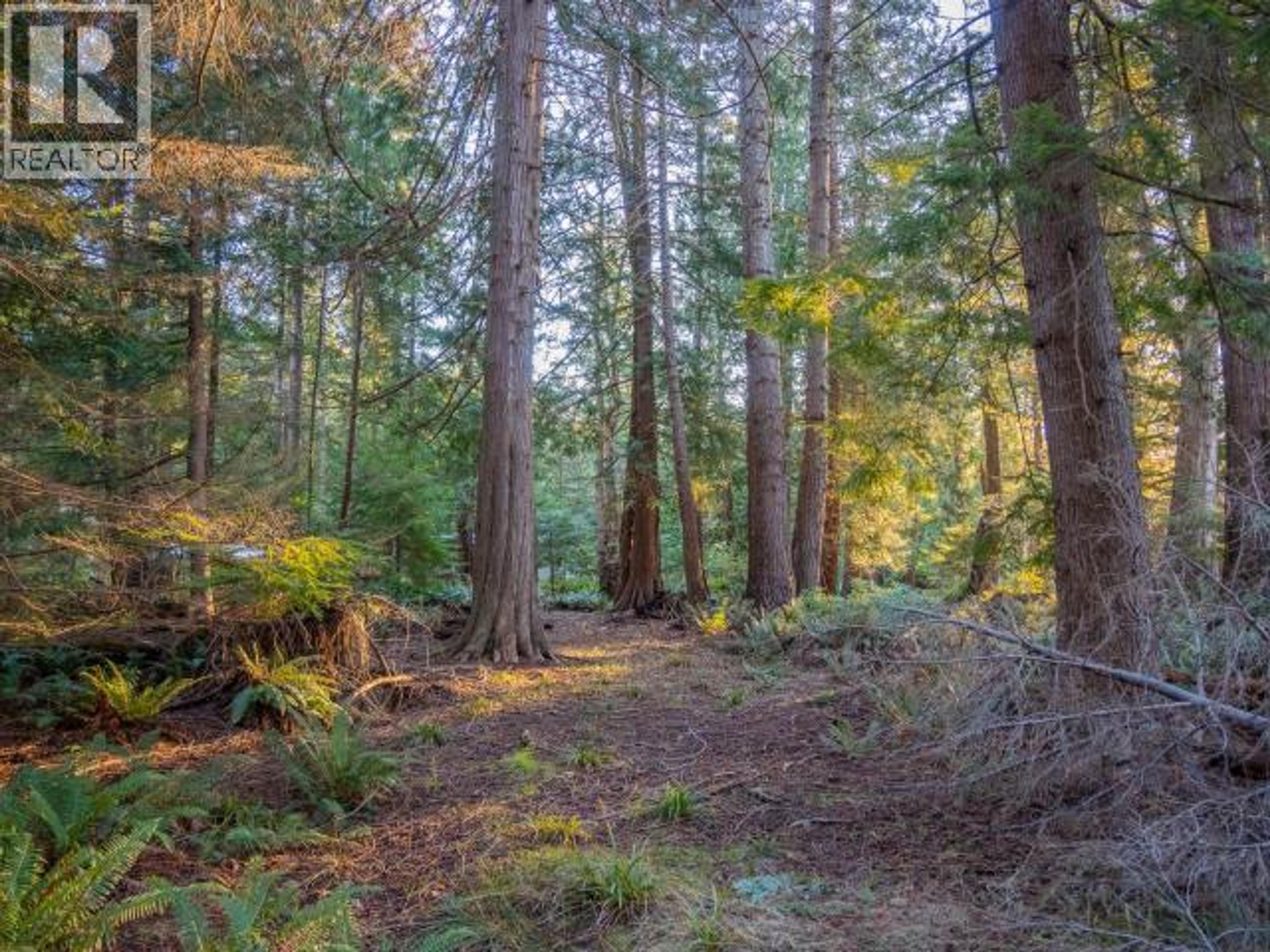 1136 HERCHMER ROAD - 28