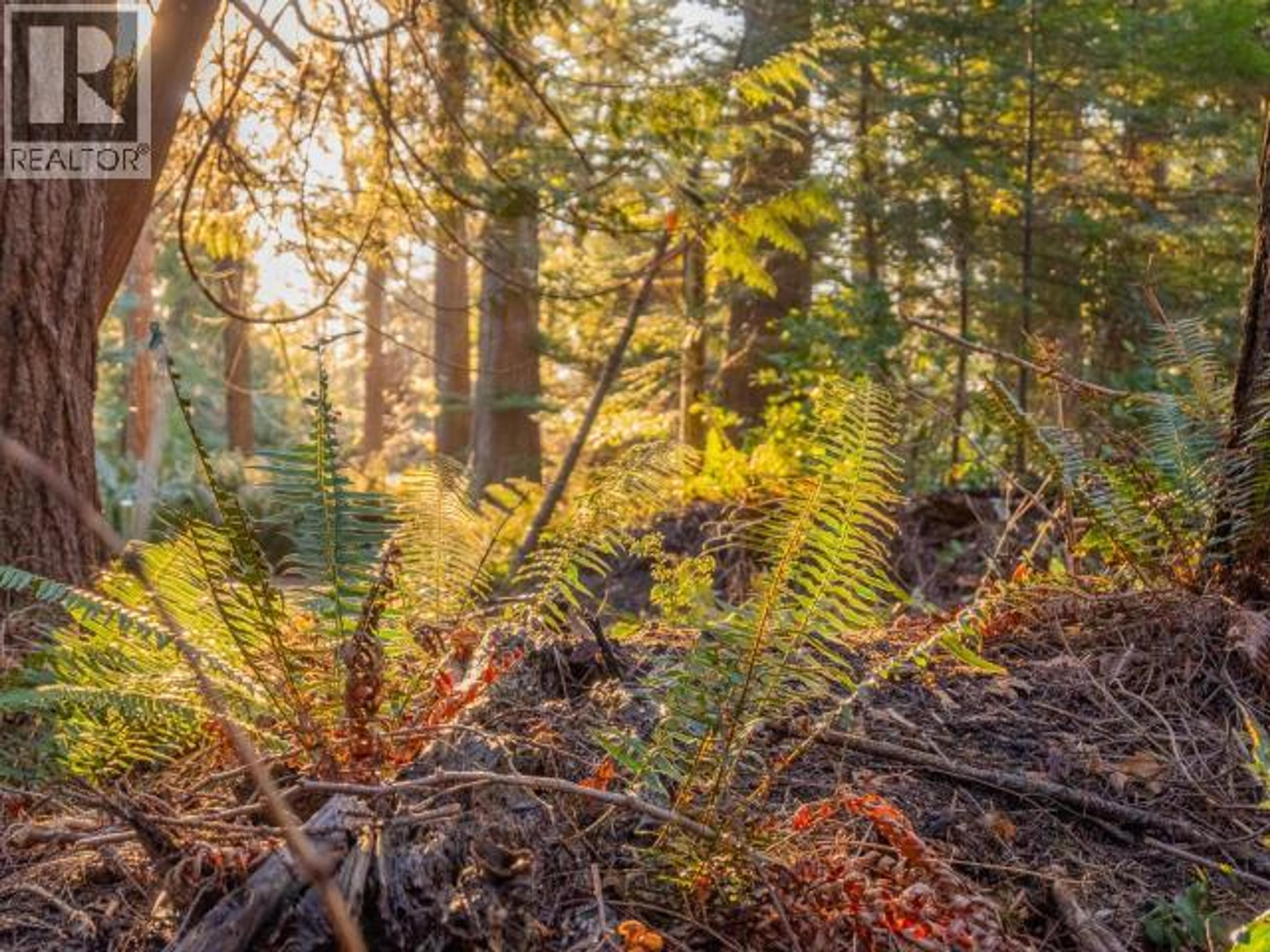 1136 HERCHMER ROAD - 15