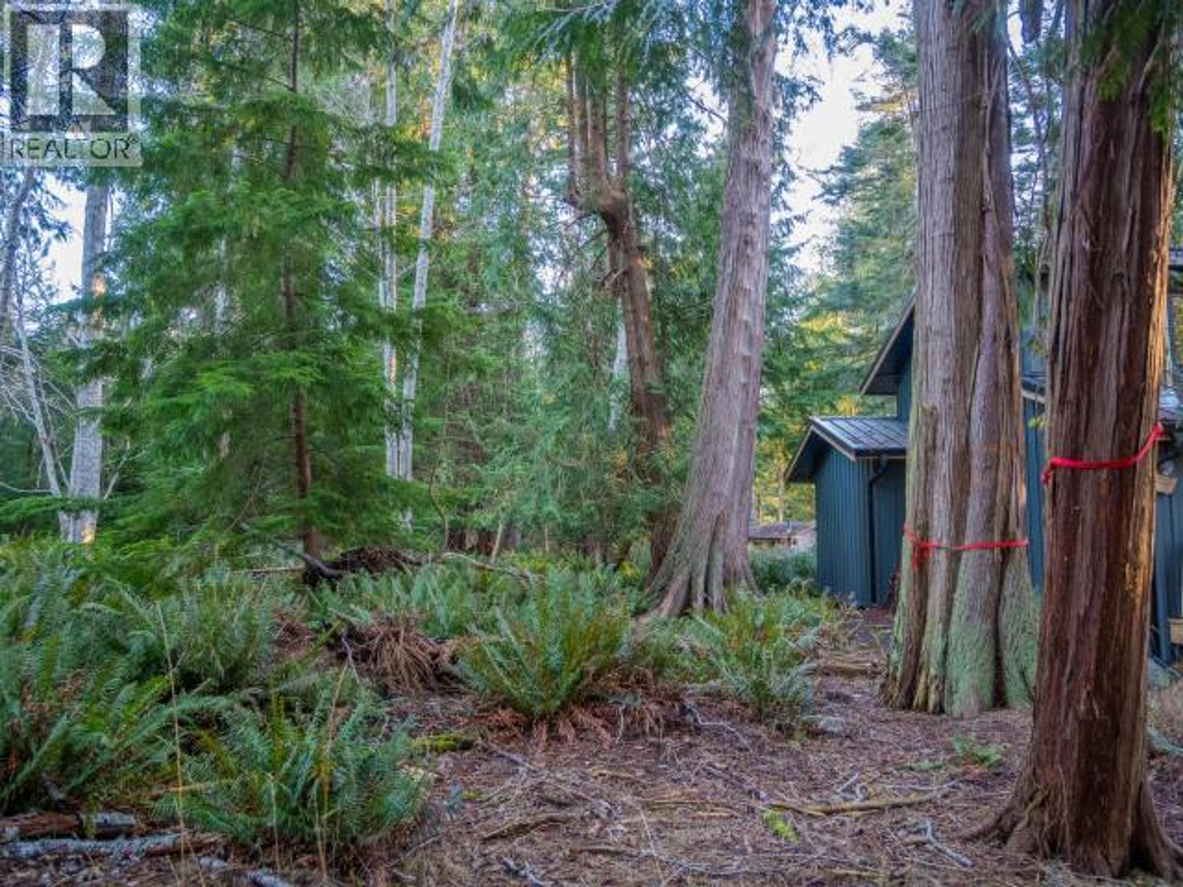 1136 HERCHMER ROAD - 16