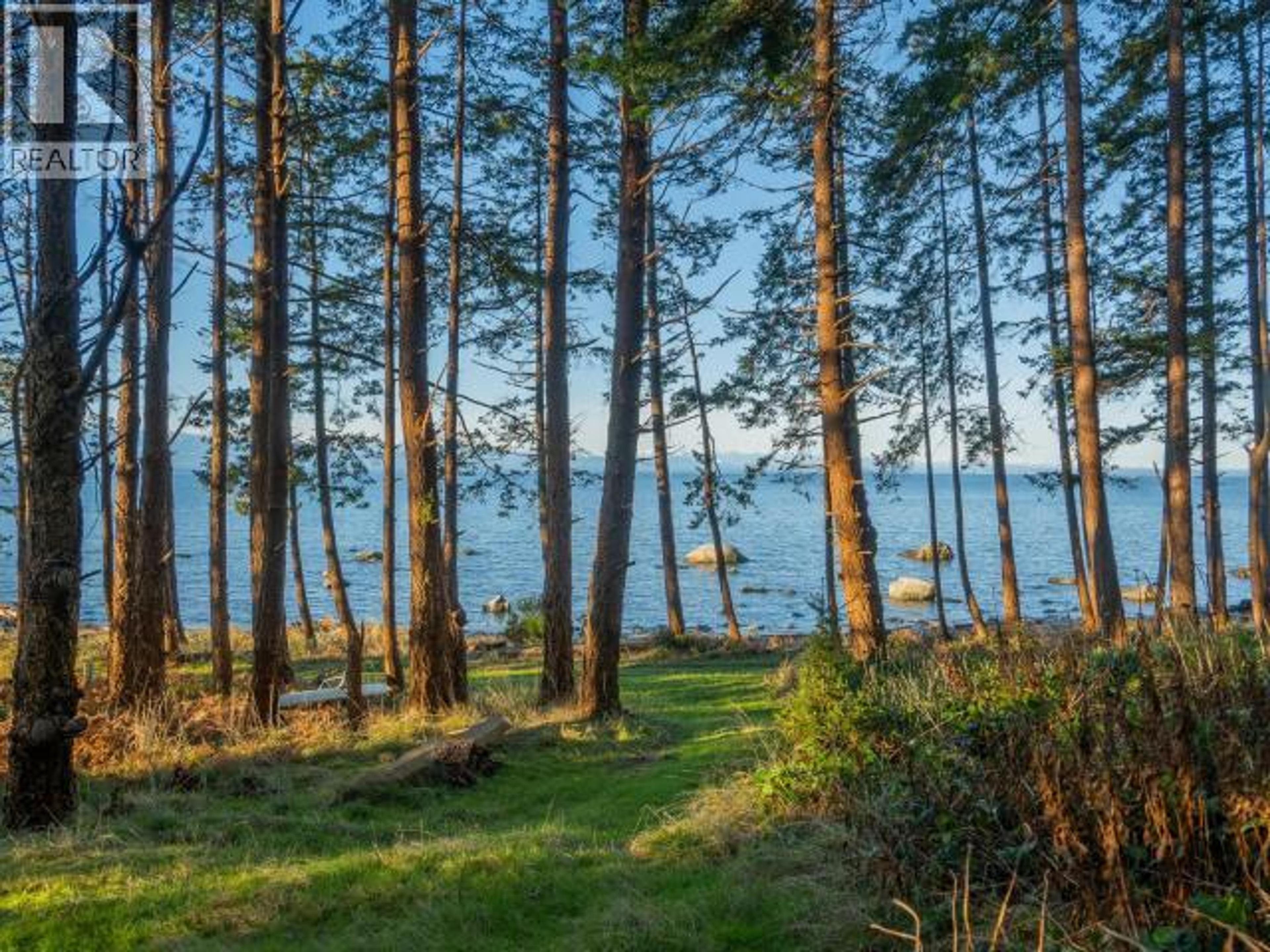 1136 HERCHMER ROAD - 18