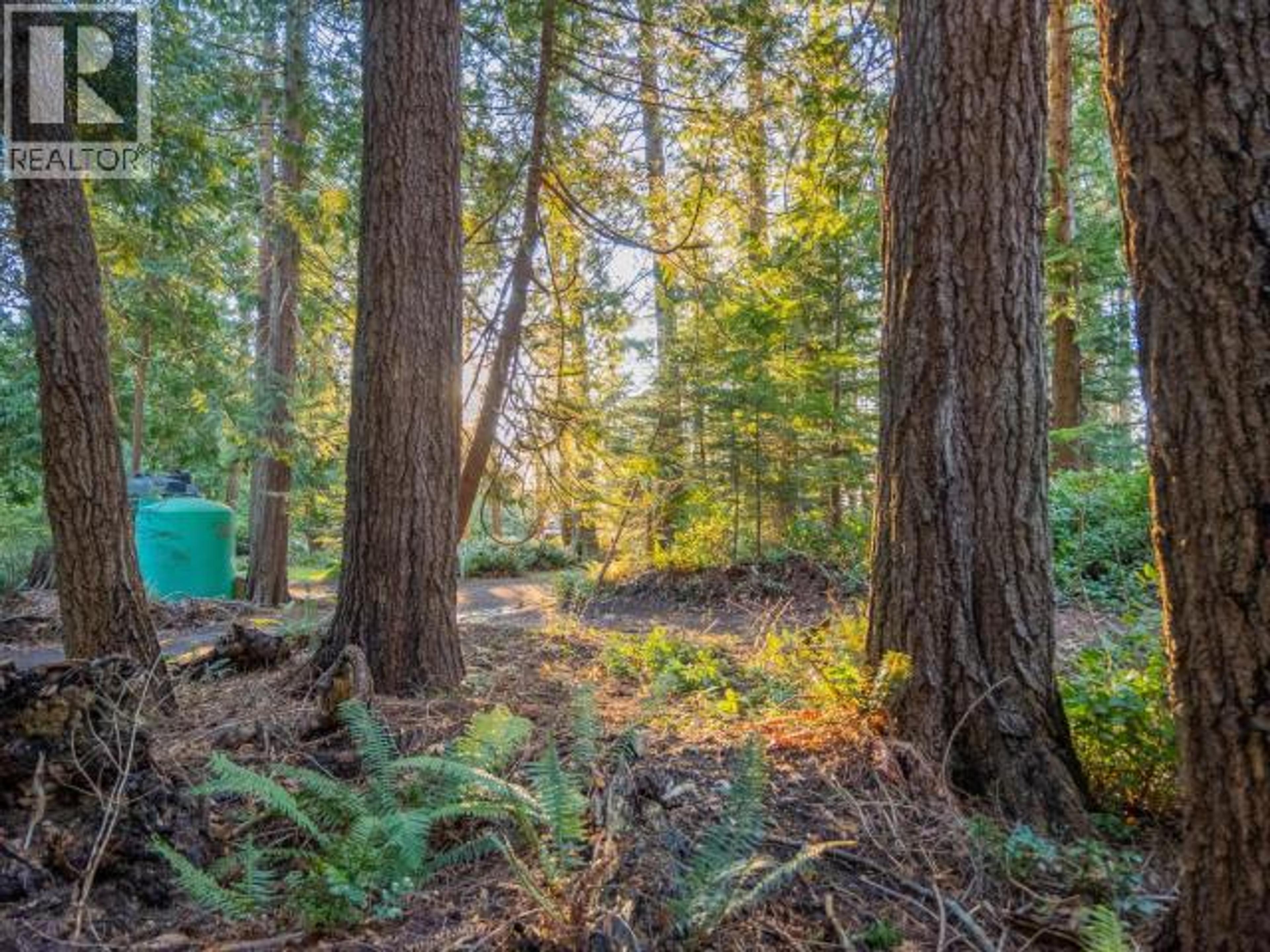 1136 HERCHMER ROAD - 20