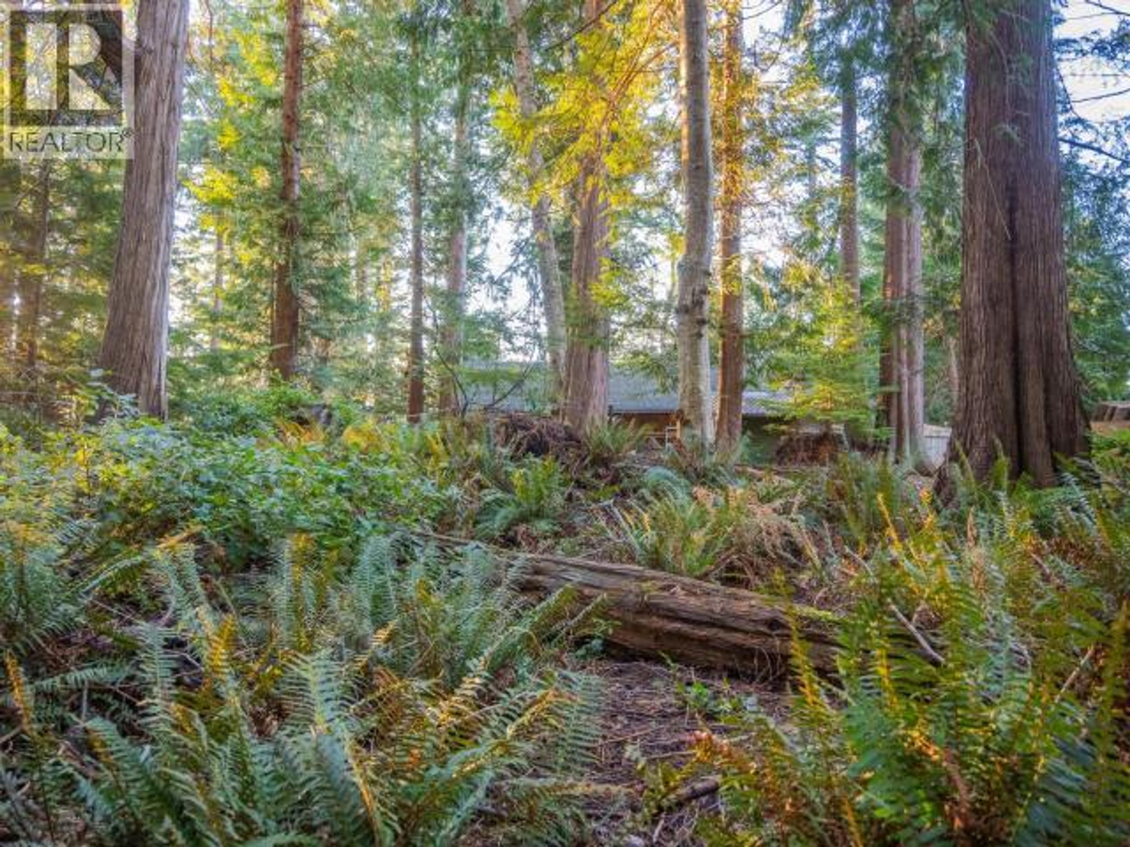 1136 HERCHMER ROAD - 30