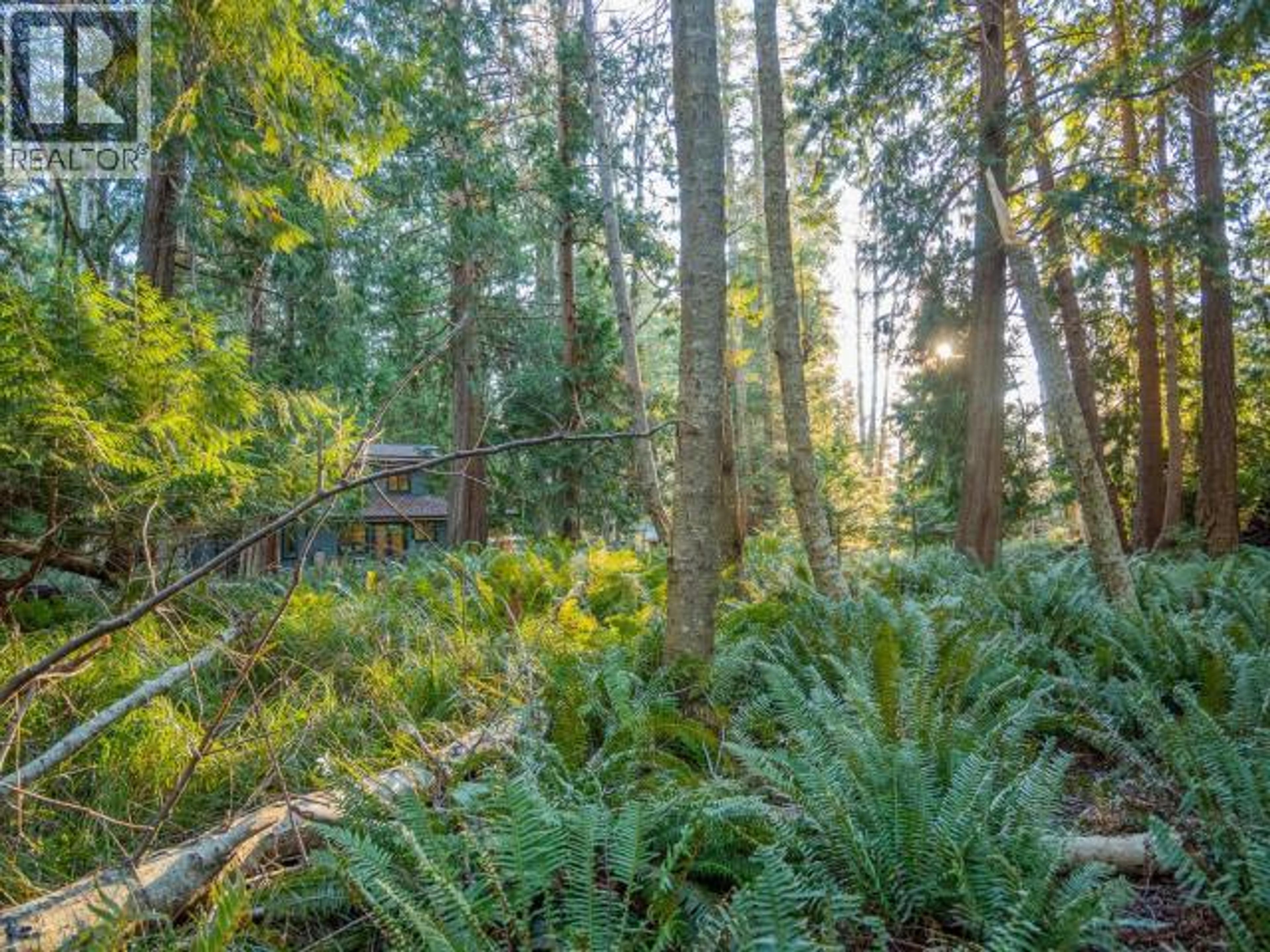 1136 HERCHMER ROAD - 46