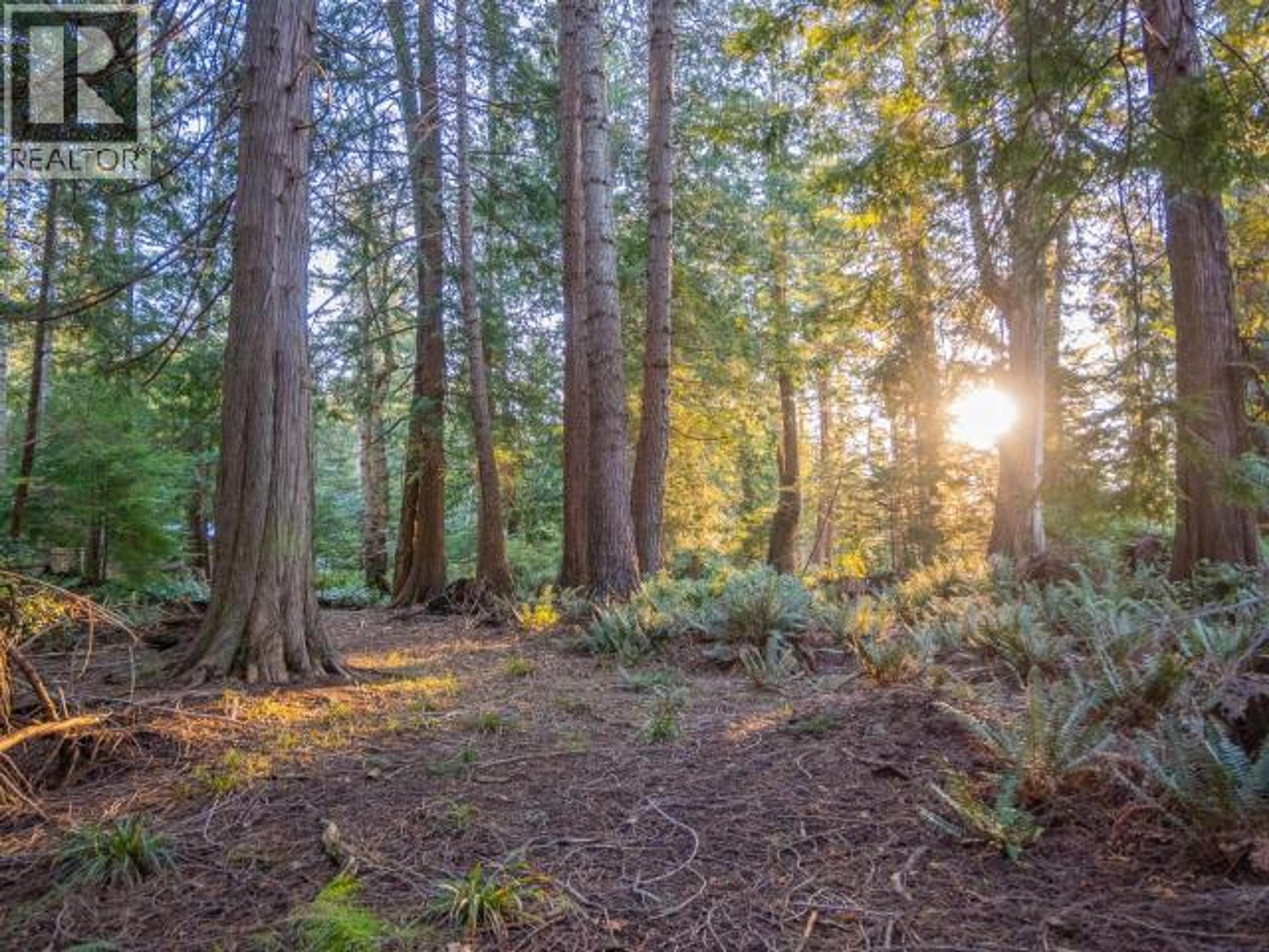 1136 HERCHMER ROAD - 35