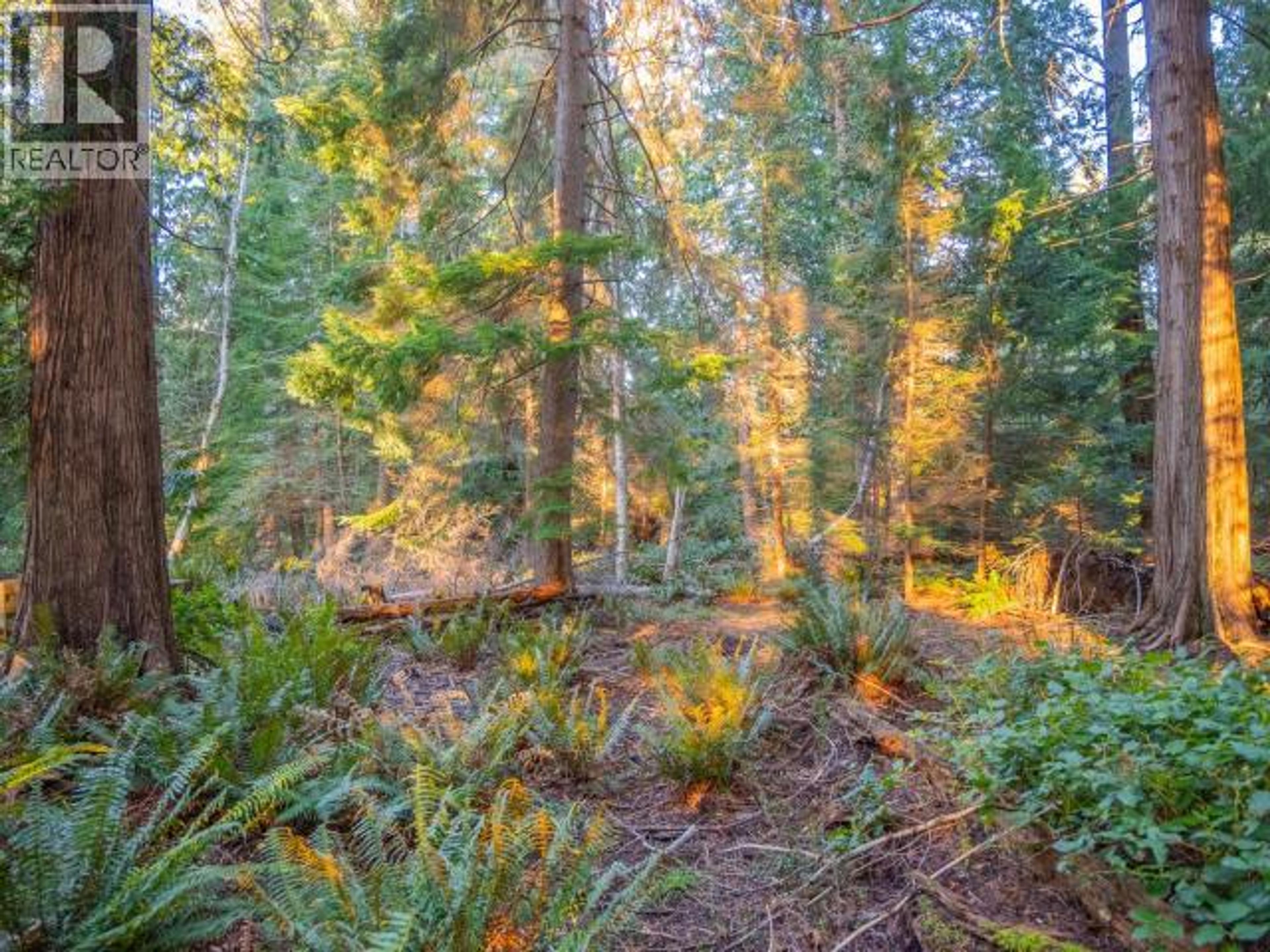 1136 HERCHMER ROAD - 37