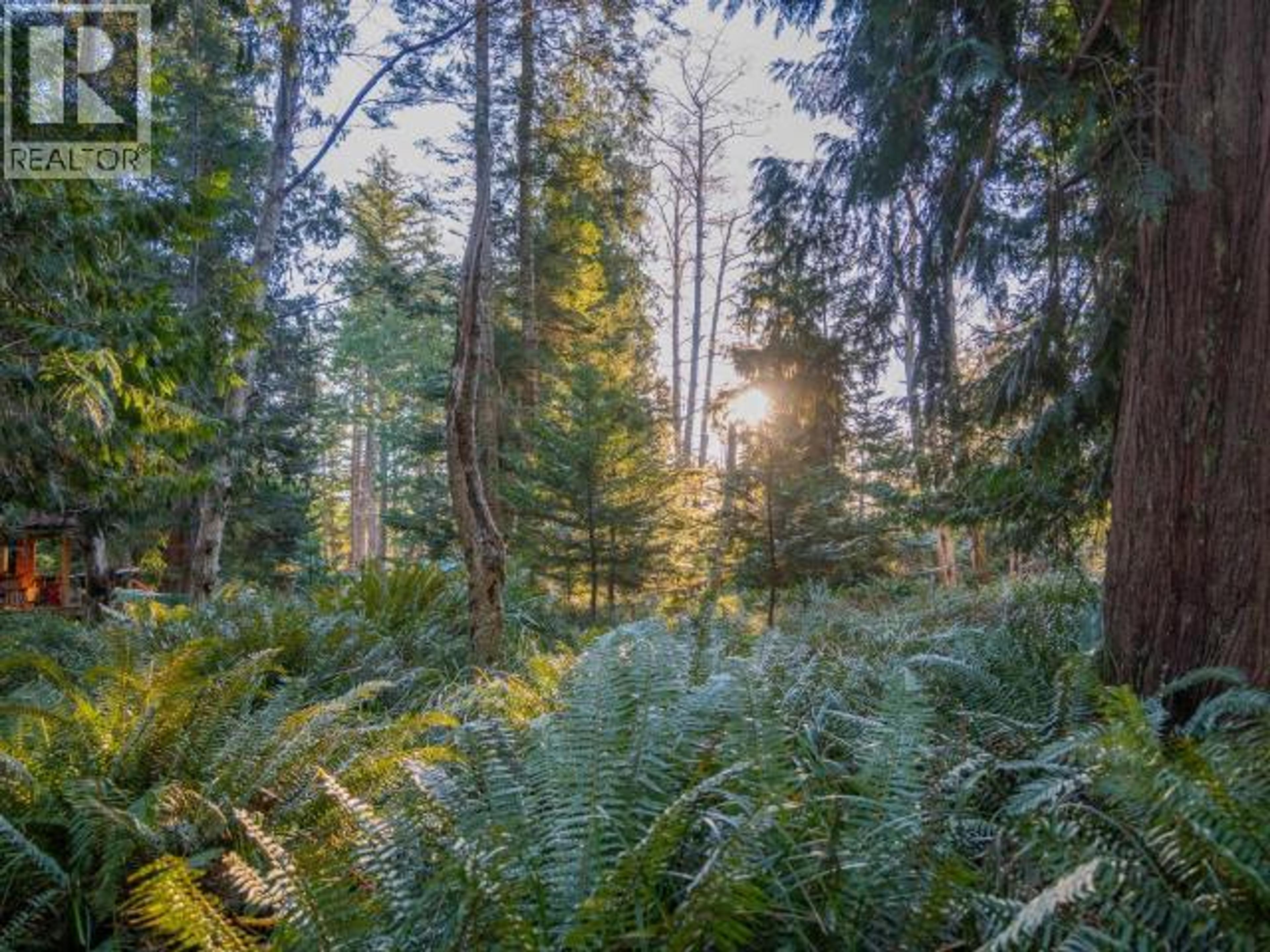 1136 HERCHMER ROAD - 36